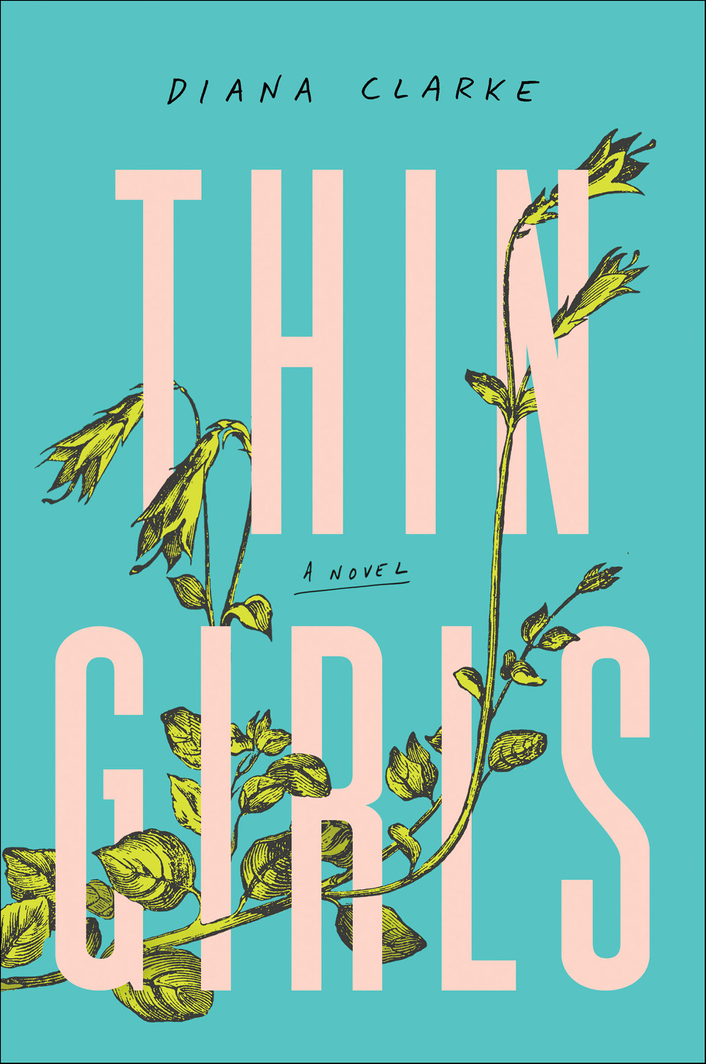 This image is the cover for the book Thin Girls