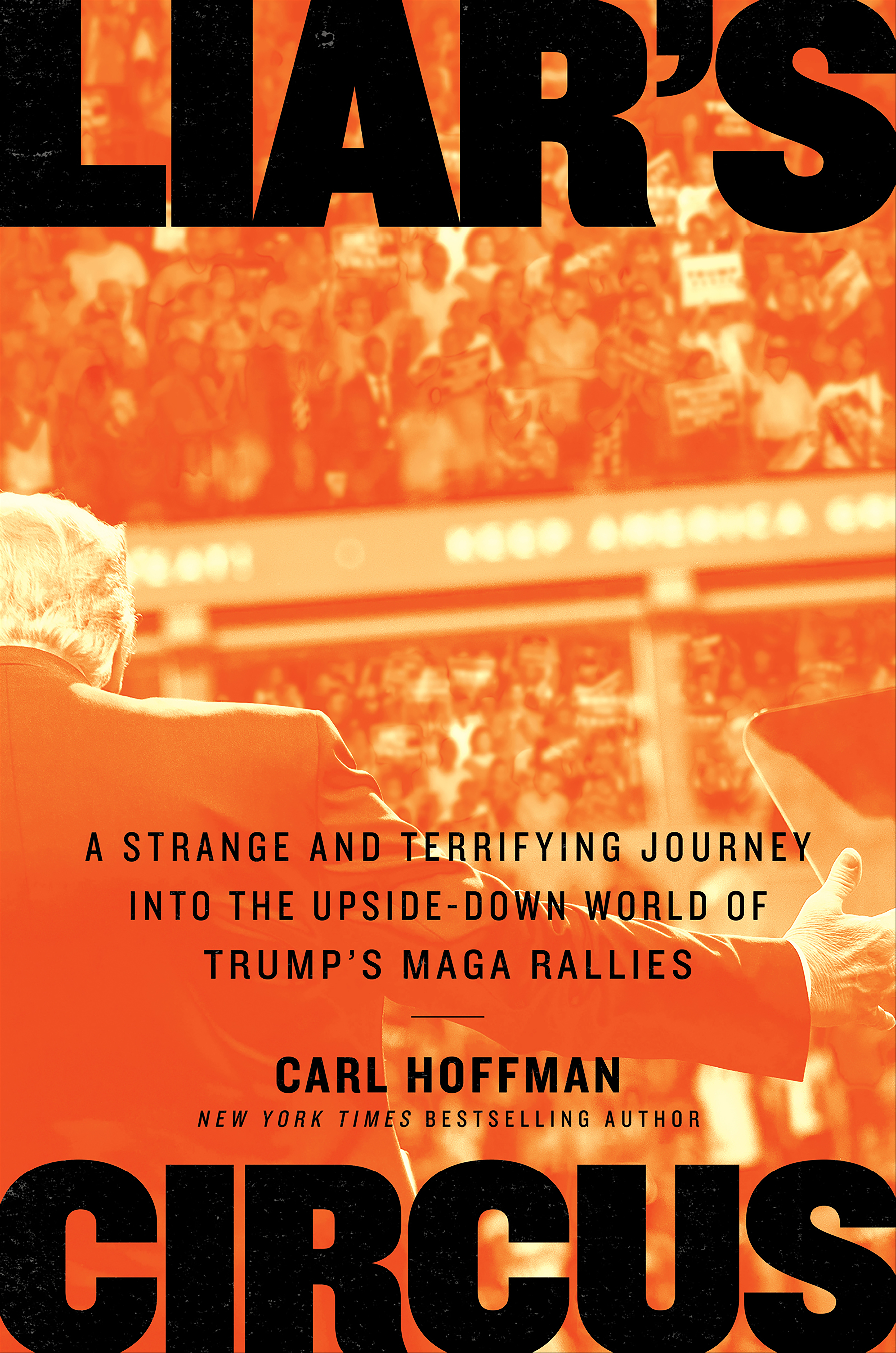 This image is the cover for the book Liar's Circus