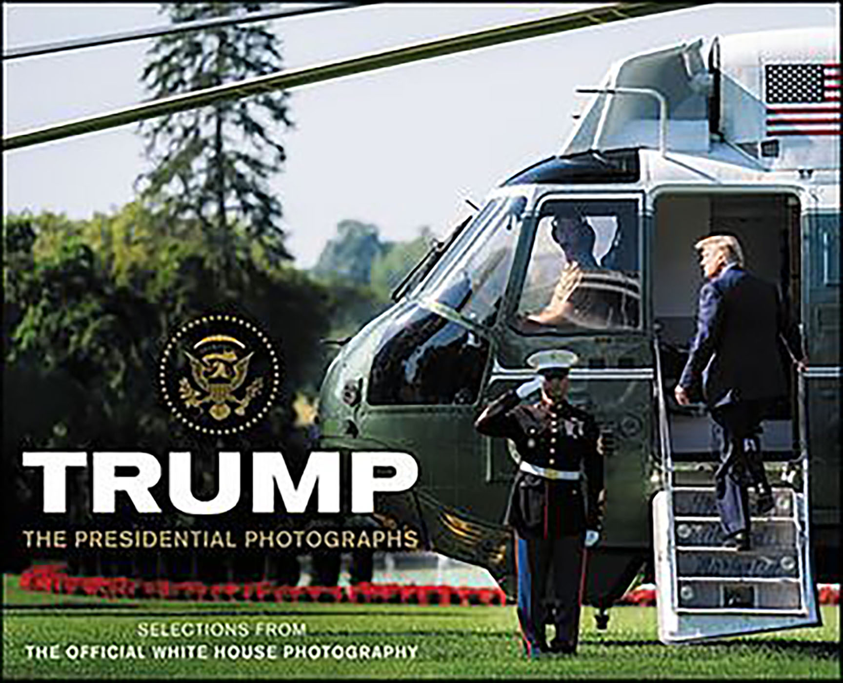 This image is the cover for the book Trump