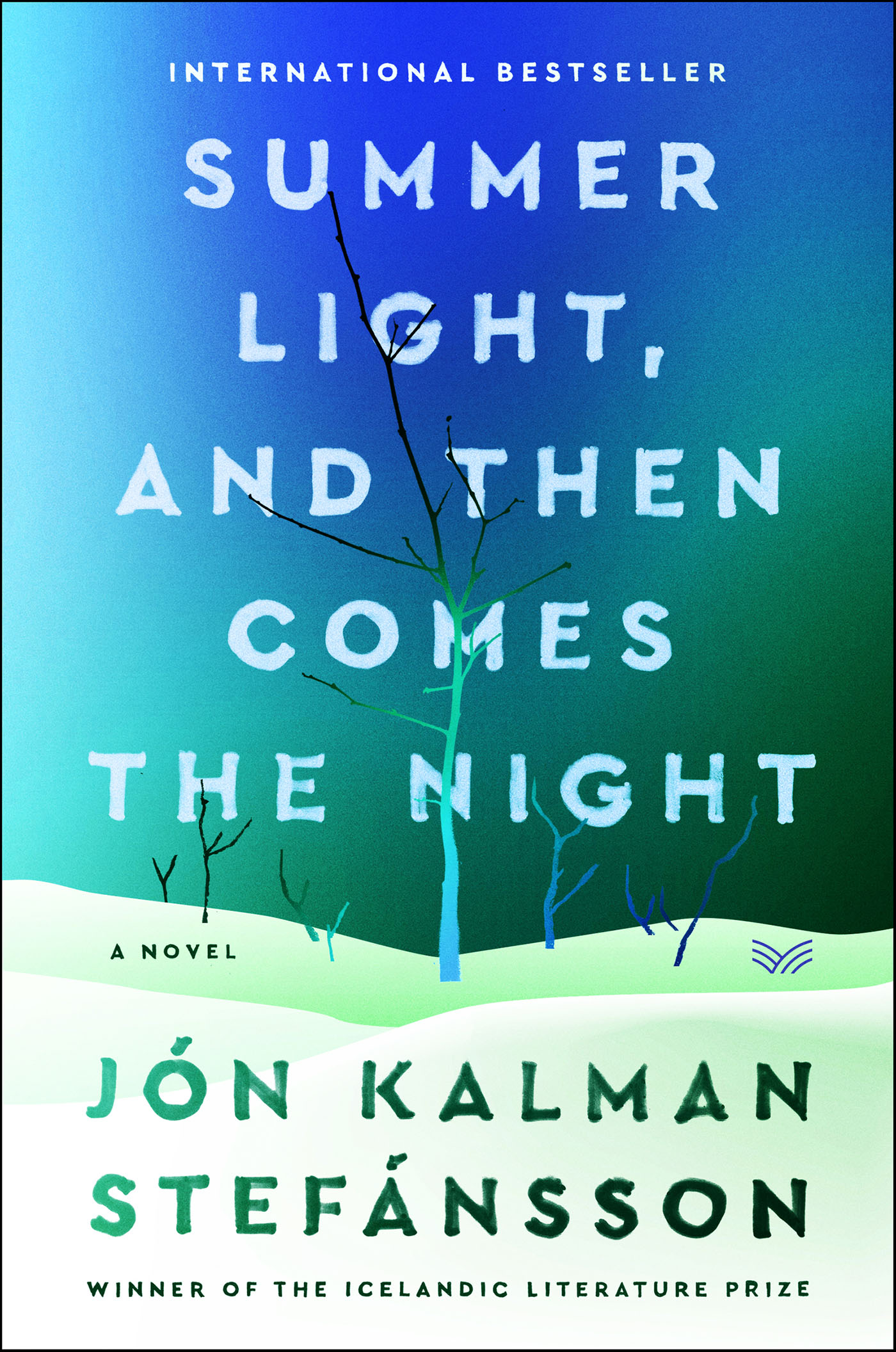 This image is the cover for the book Summer Light, and Then Comes the Night