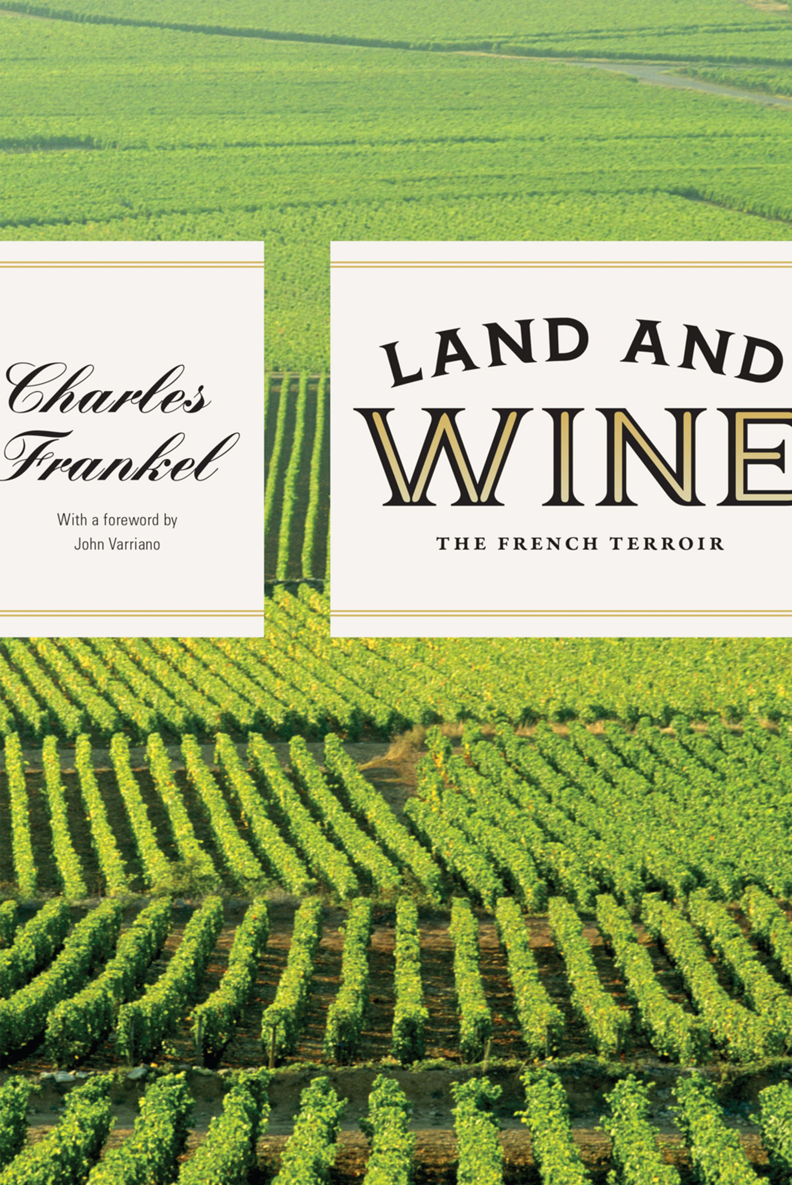 This image is the cover for the book Land and Wine