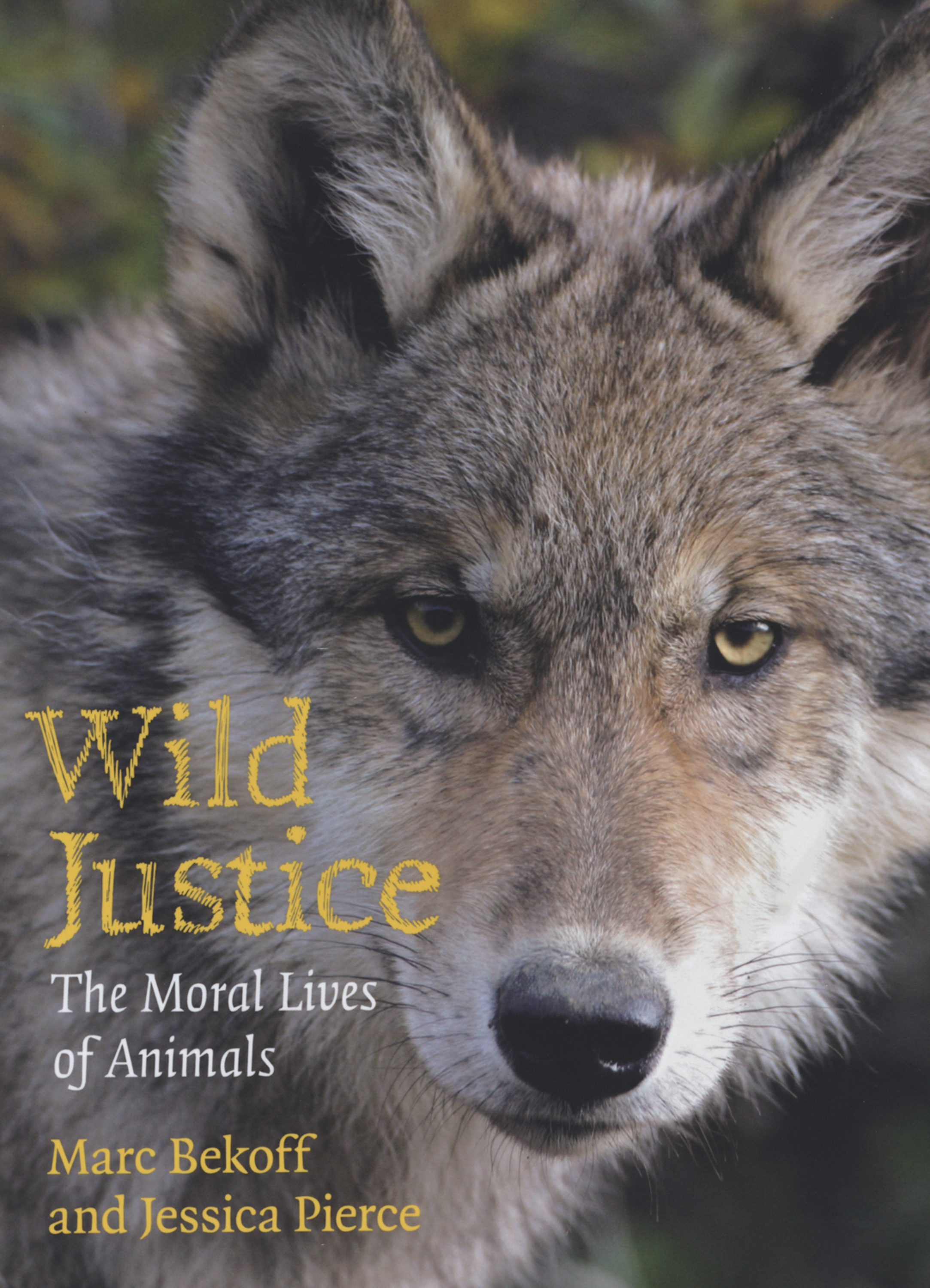 This image is the cover for the book Wild Justice