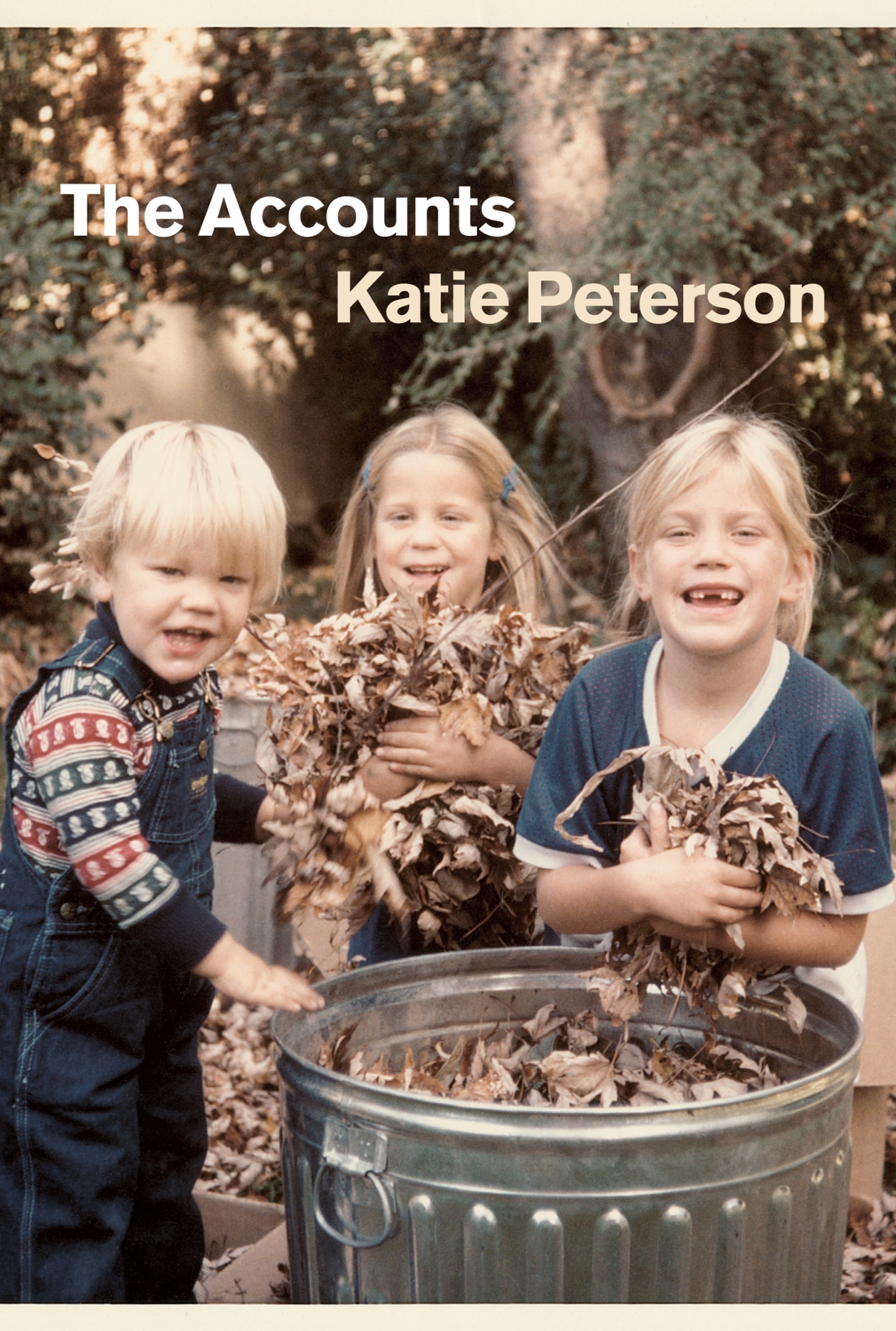 This image is the cover for the book Accounts