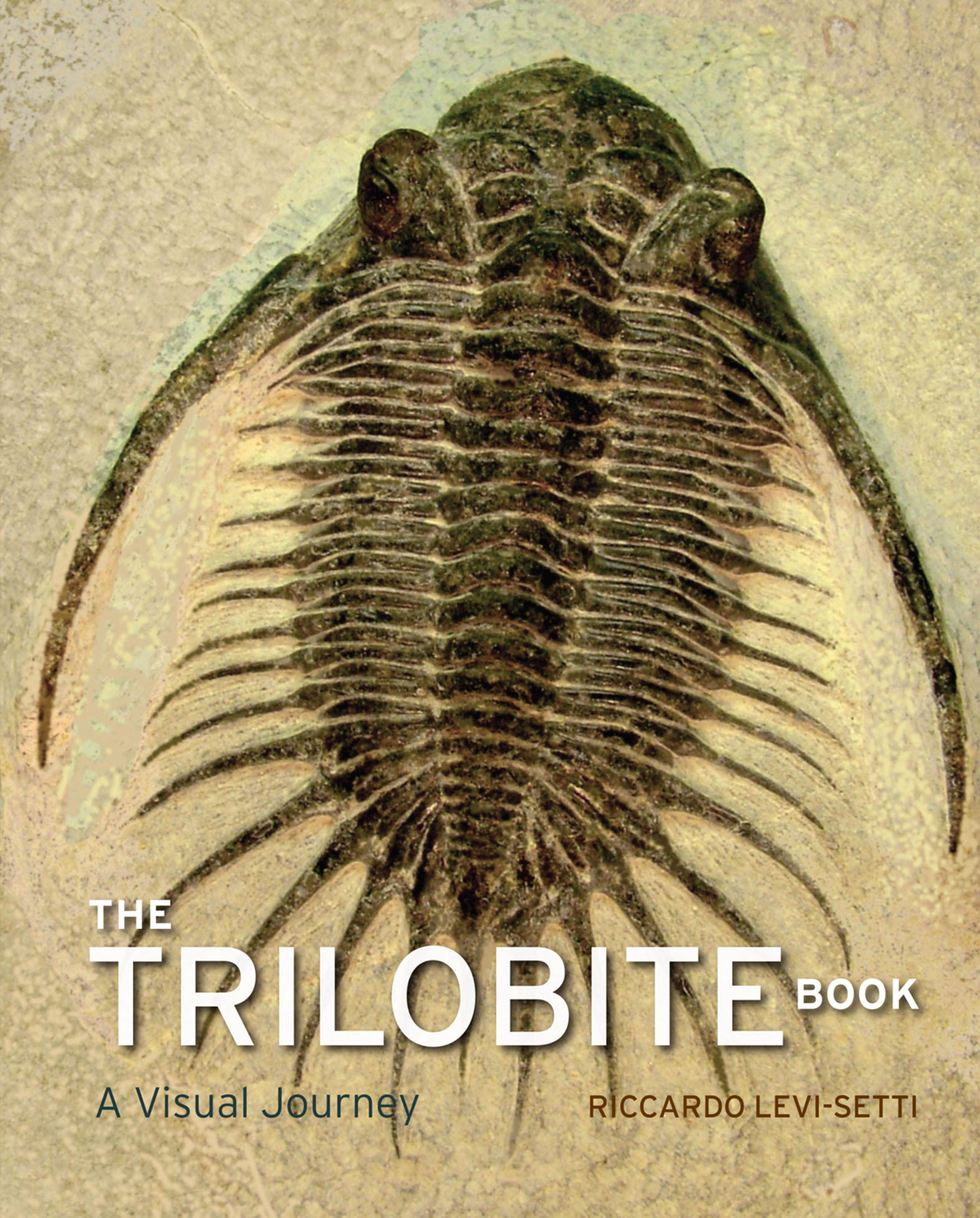 This image is the cover for the book Trilobite Book