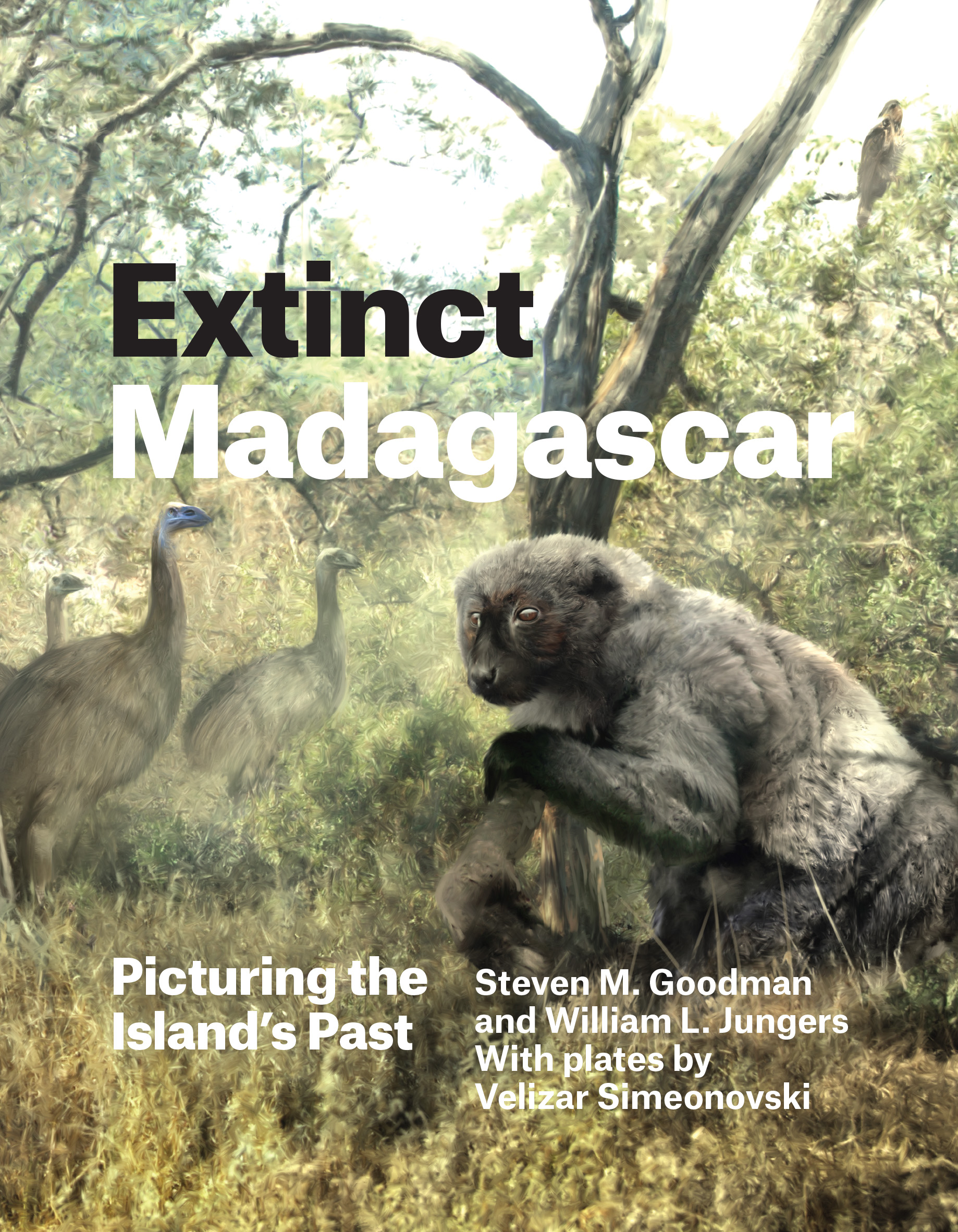 This image is the cover for the book Extinct Madagascar