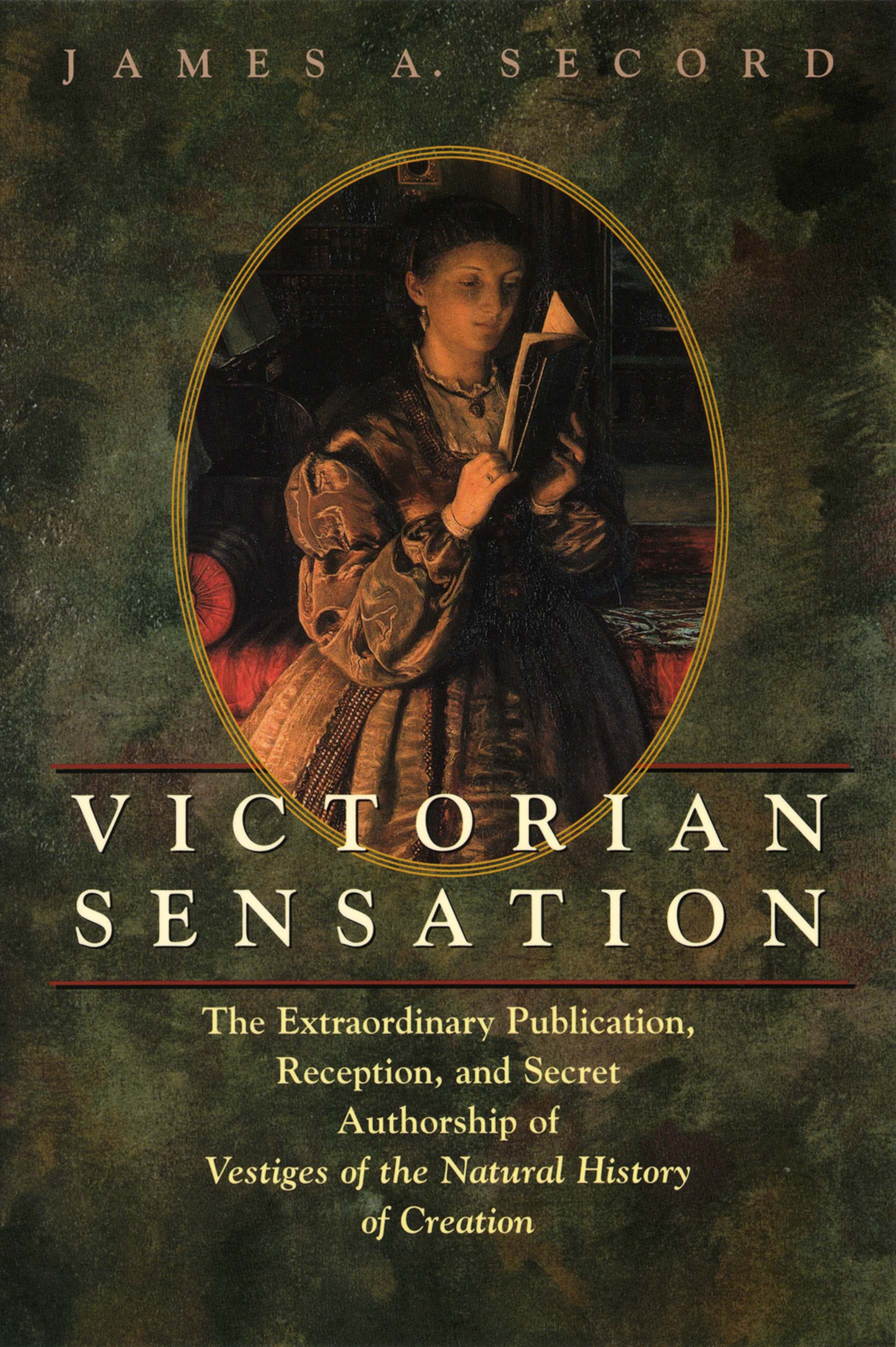 This image is the cover for the book Victorian Sensation
