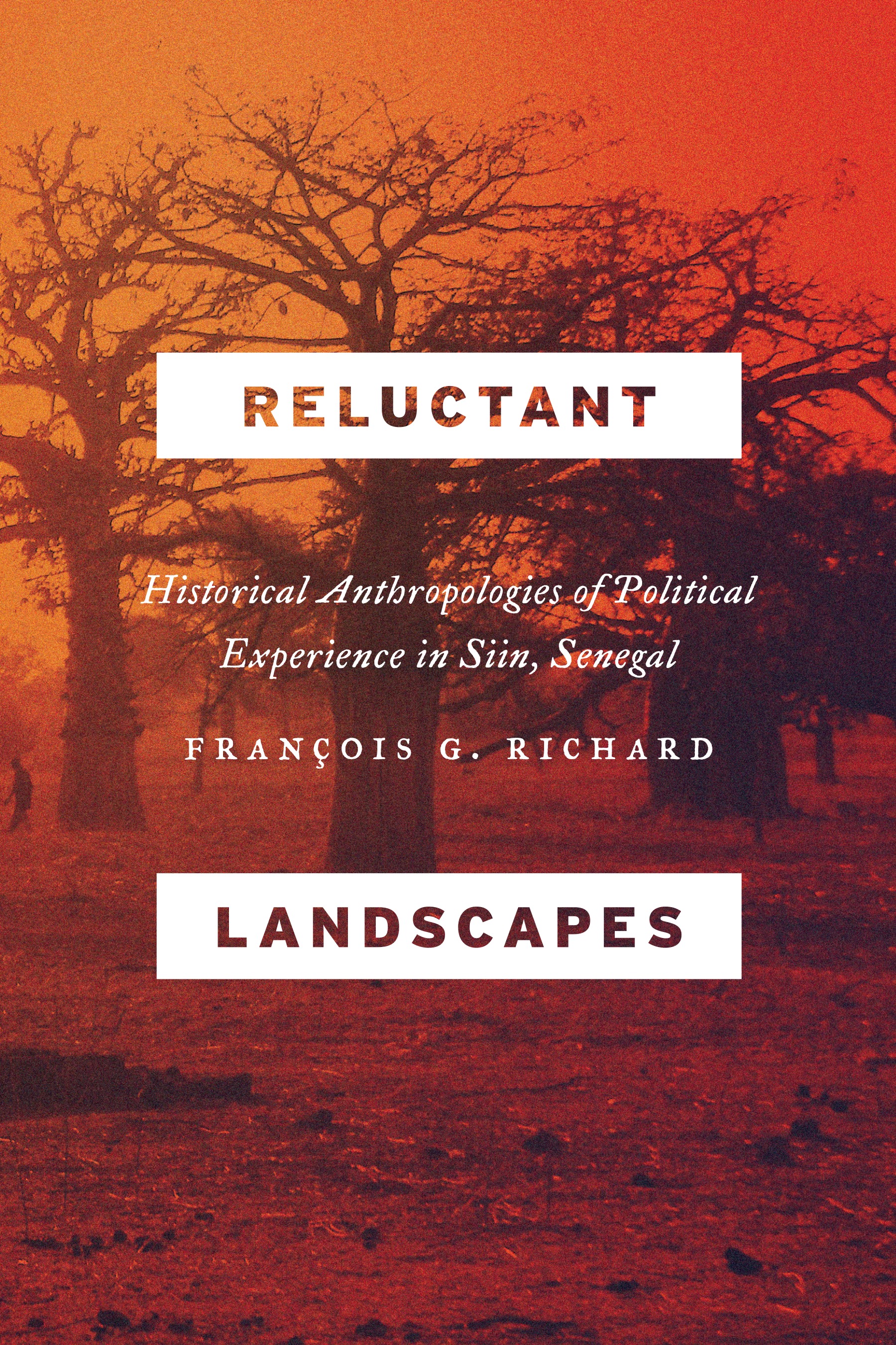 This image is the cover for the book Reluctant Landscapes