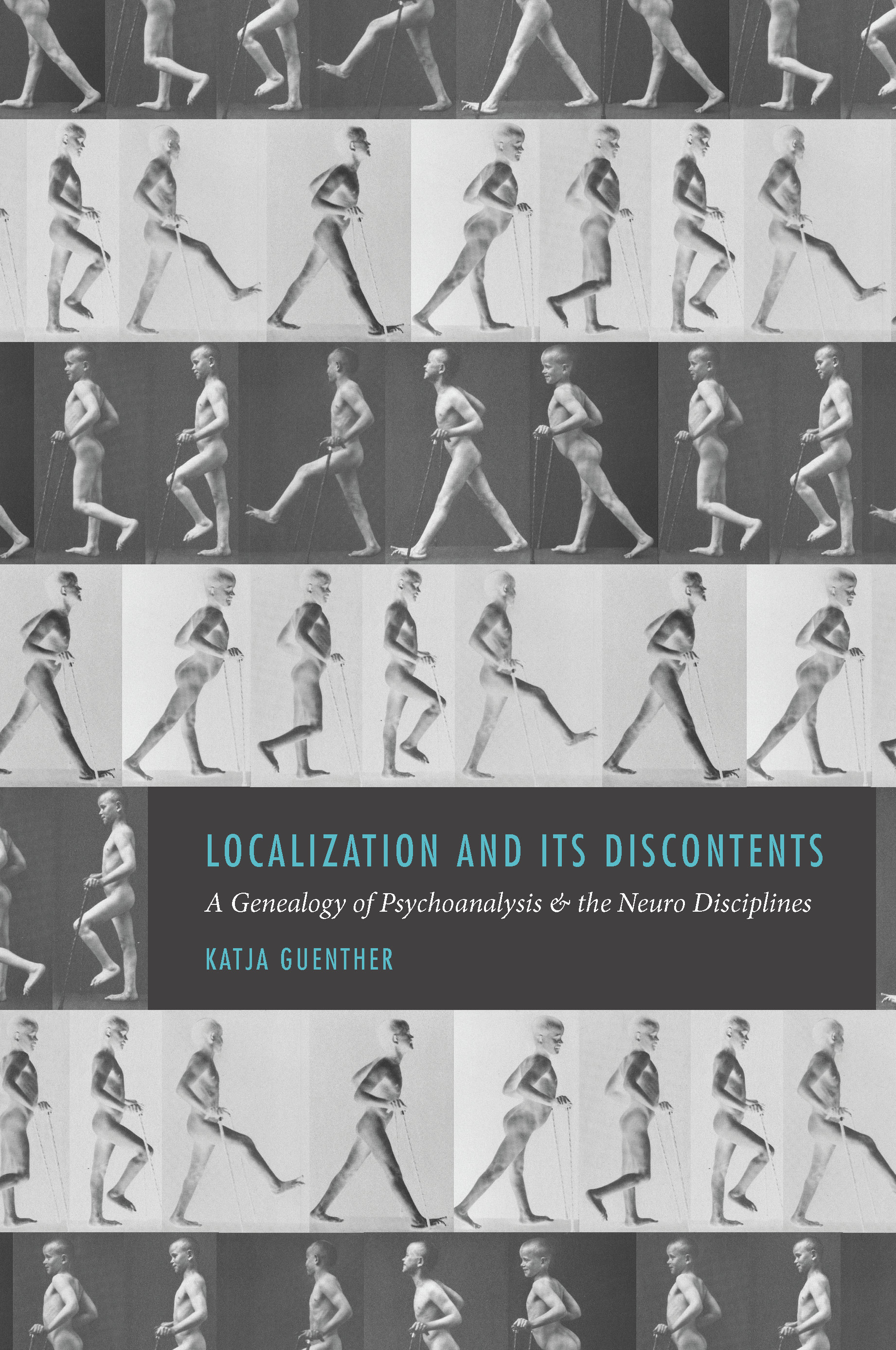 This image is the cover for the book Localization and Its Discontents