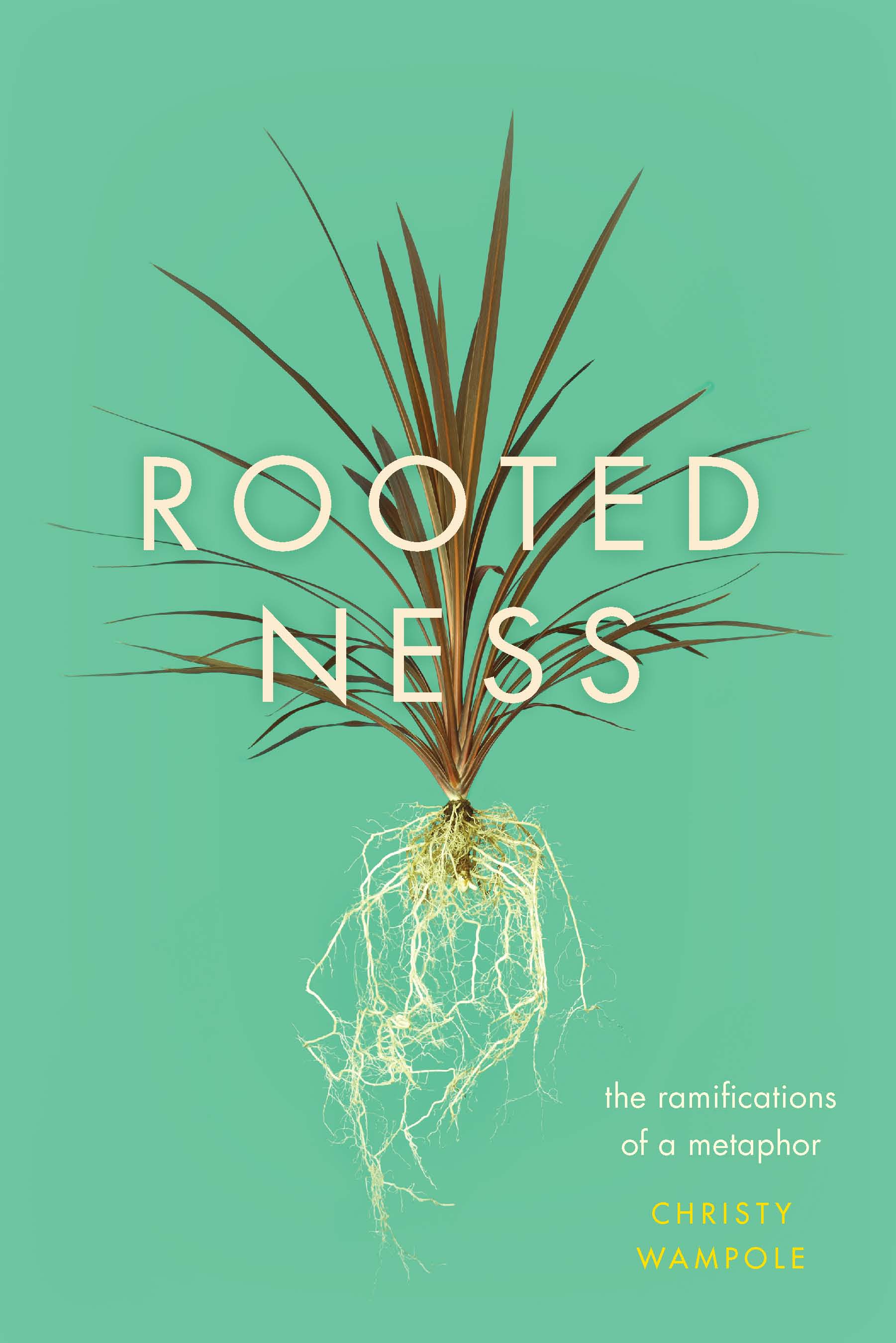 This image is the cover for the book Rootedness