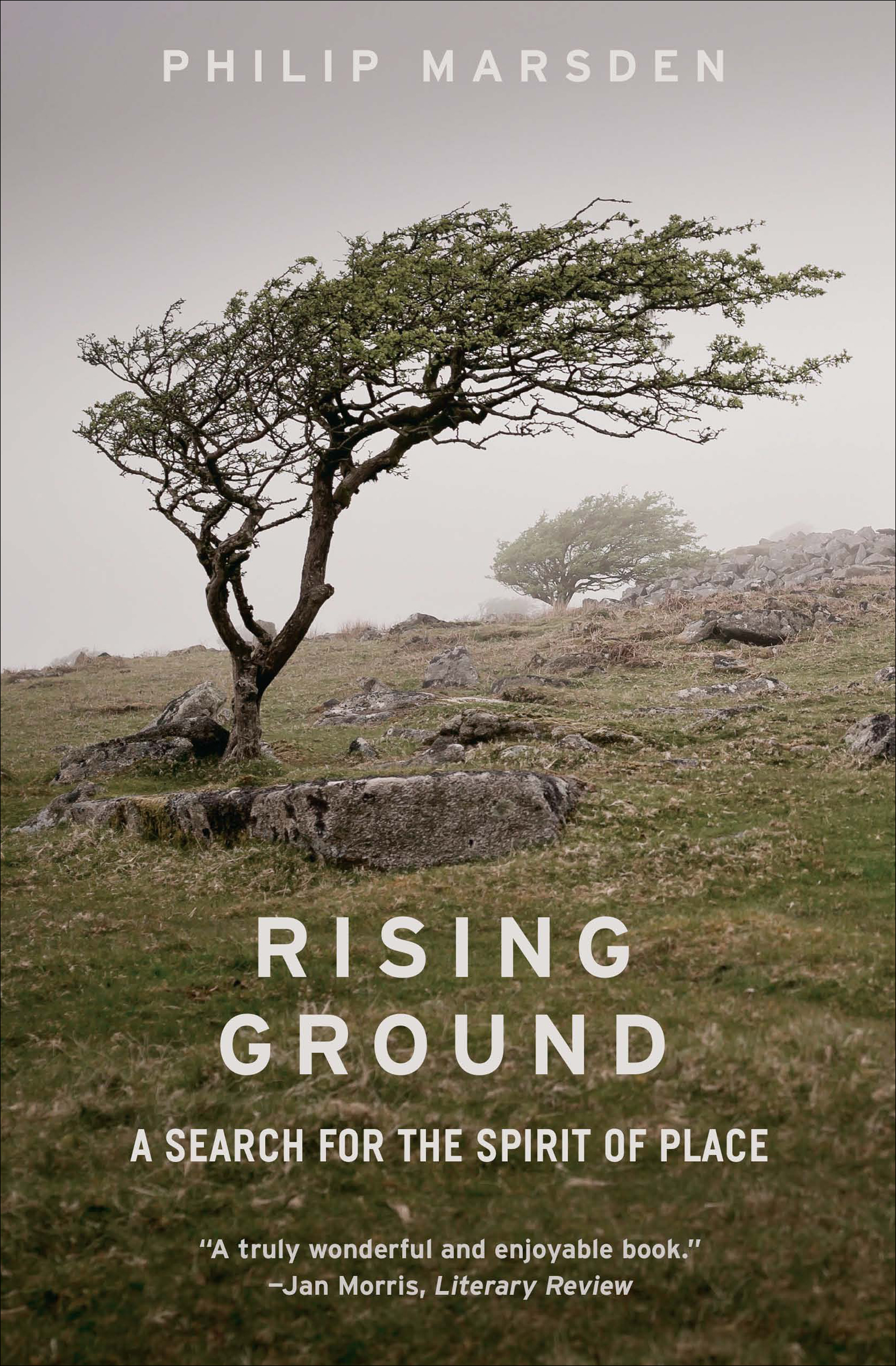 This image is the cover for the book Rising Ground