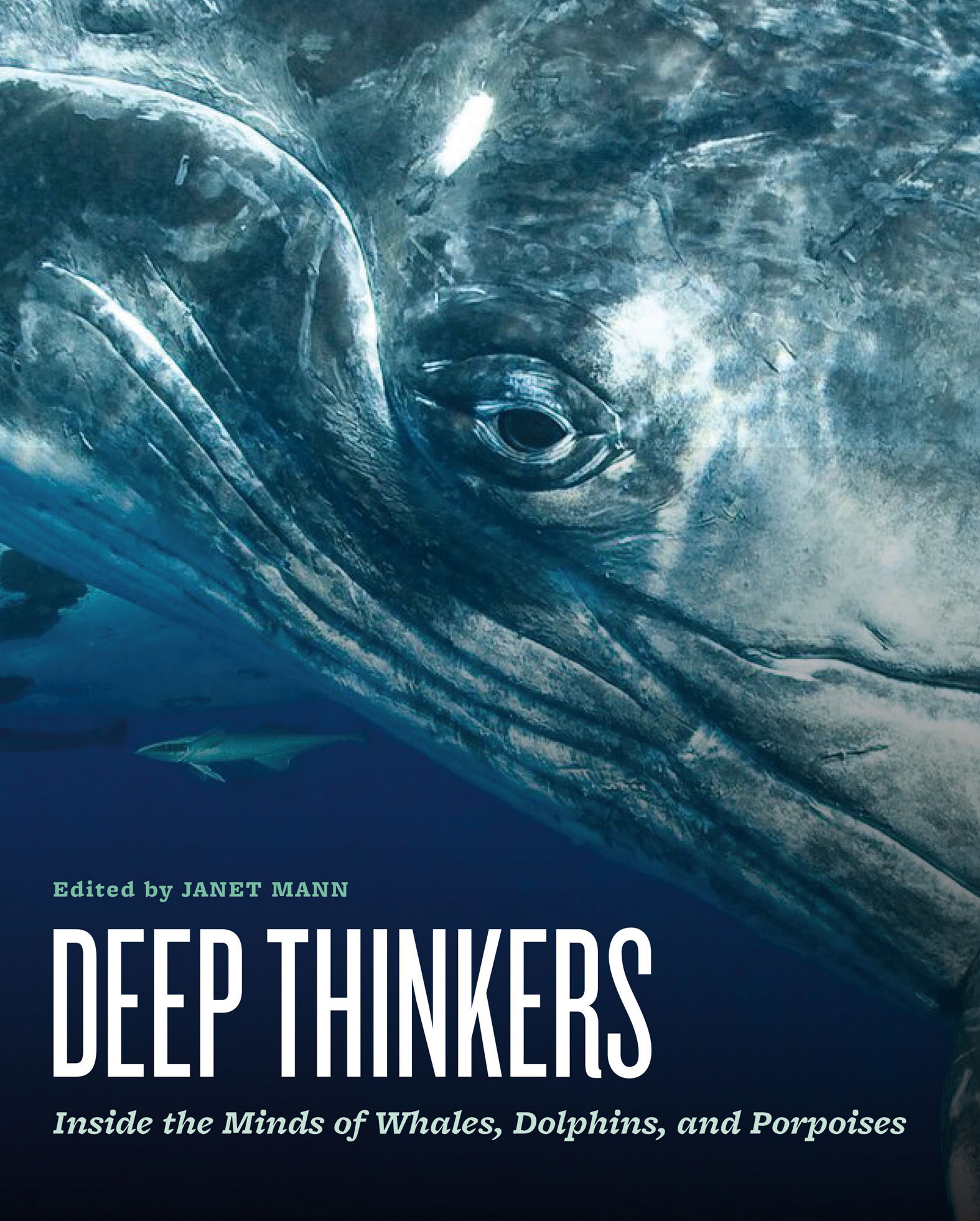 This image is the cover for the book Deep Thinkers