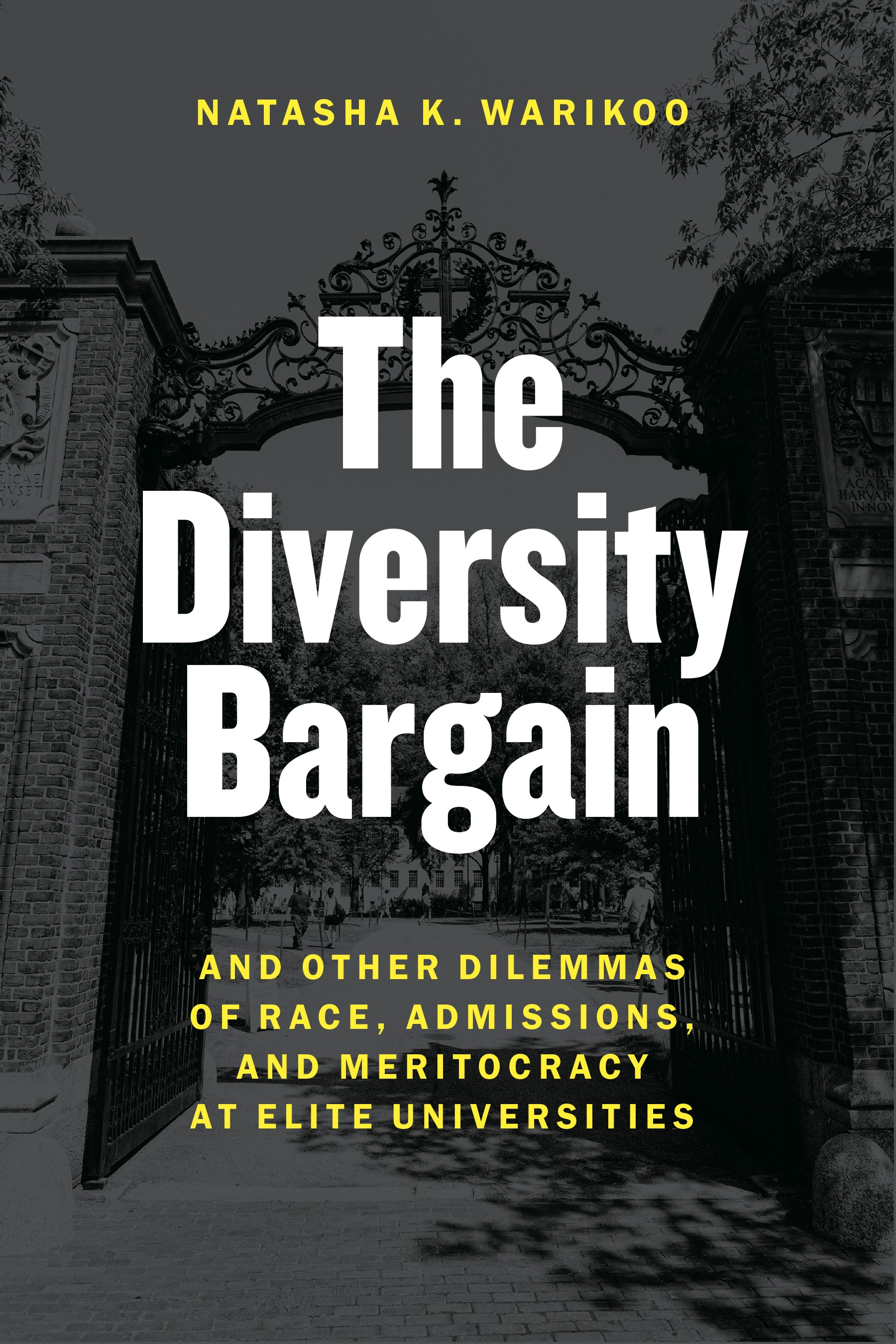 This image is the cover for the book Diversity Bargain