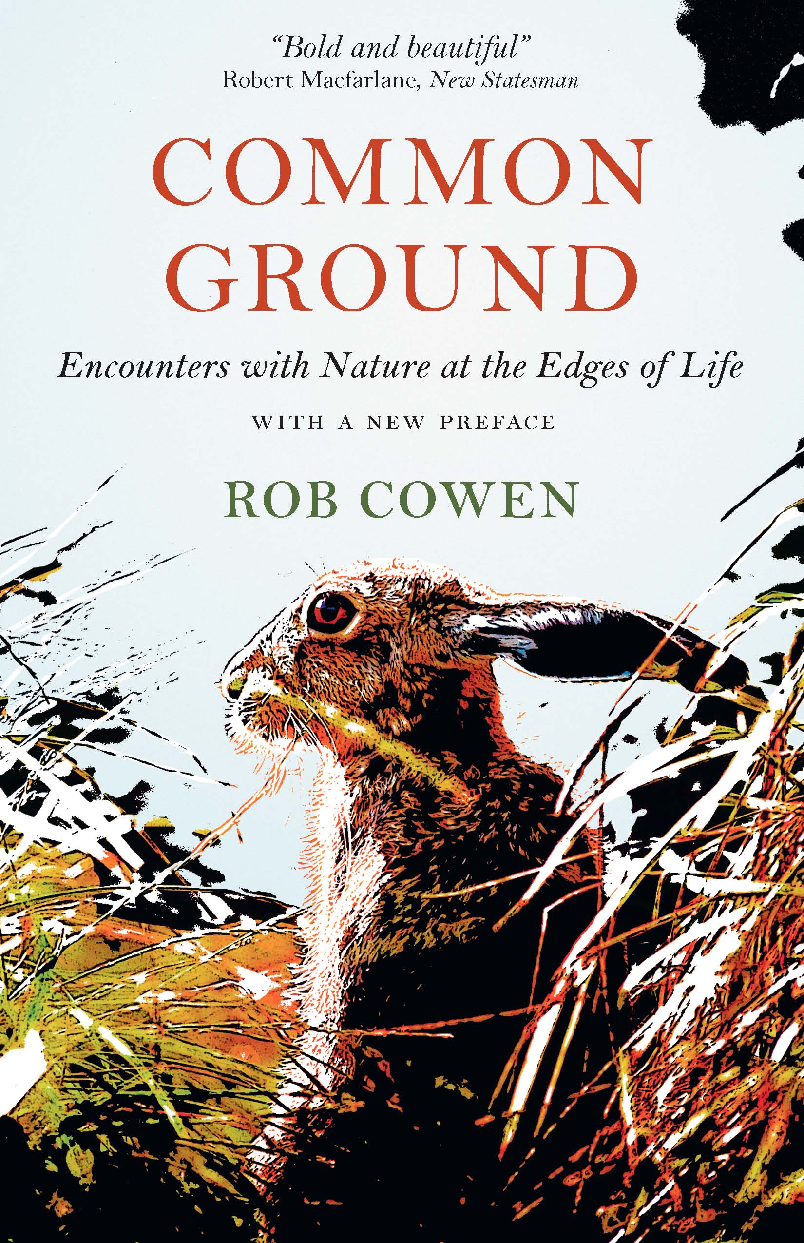 This image is the cover for the book Common Ground