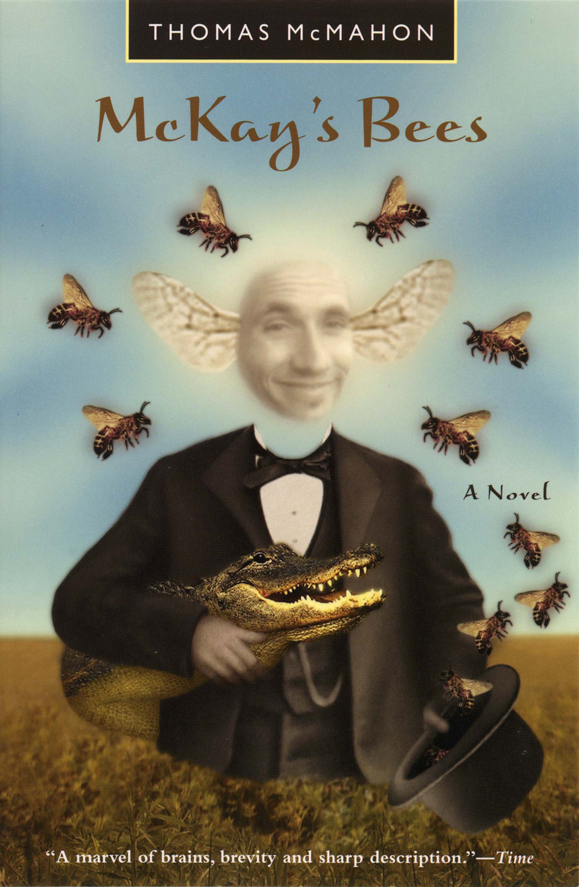 This image is the cover for the book McKay's Bees