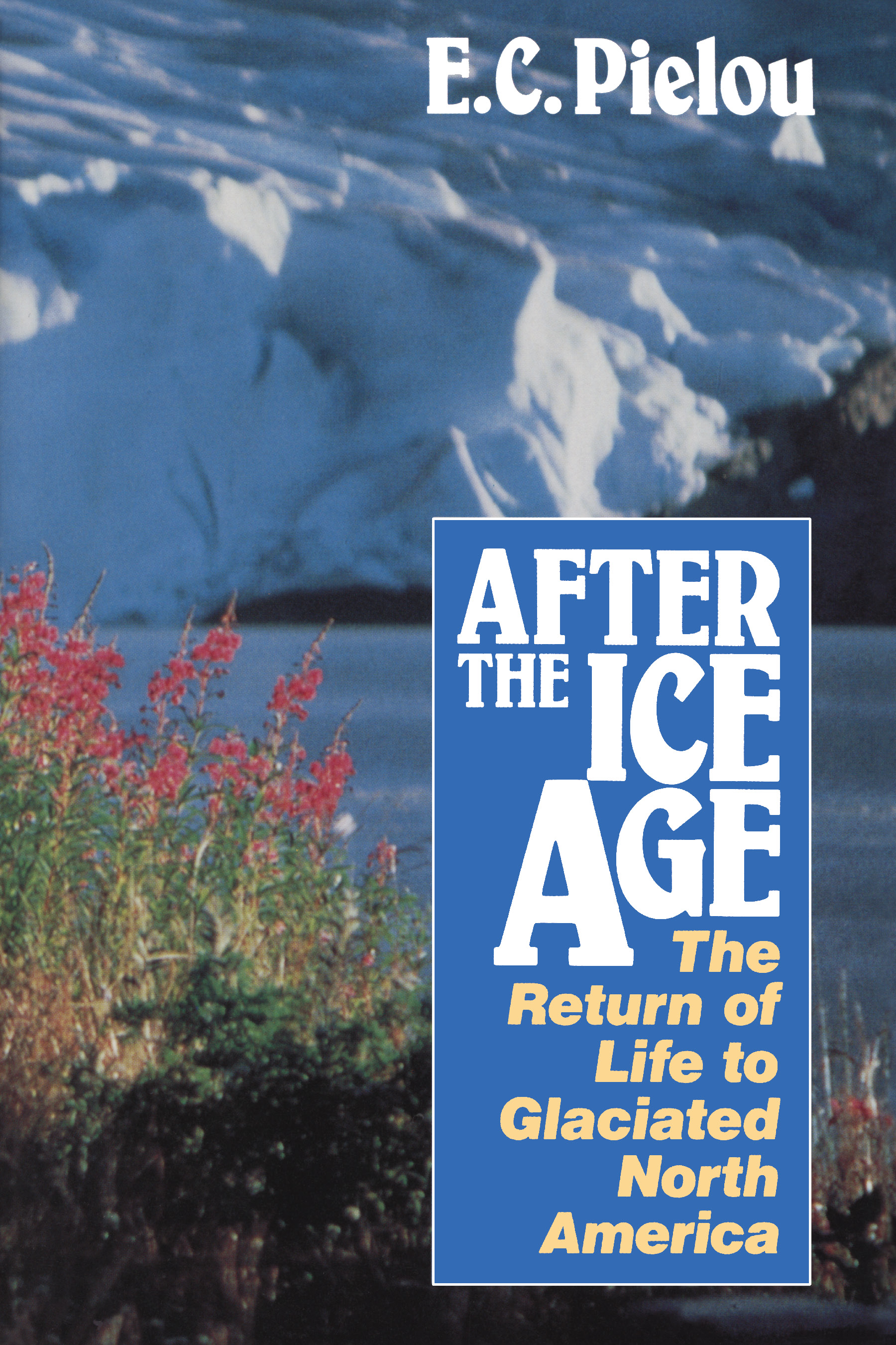 This image is the cover for the book After the Ice Age