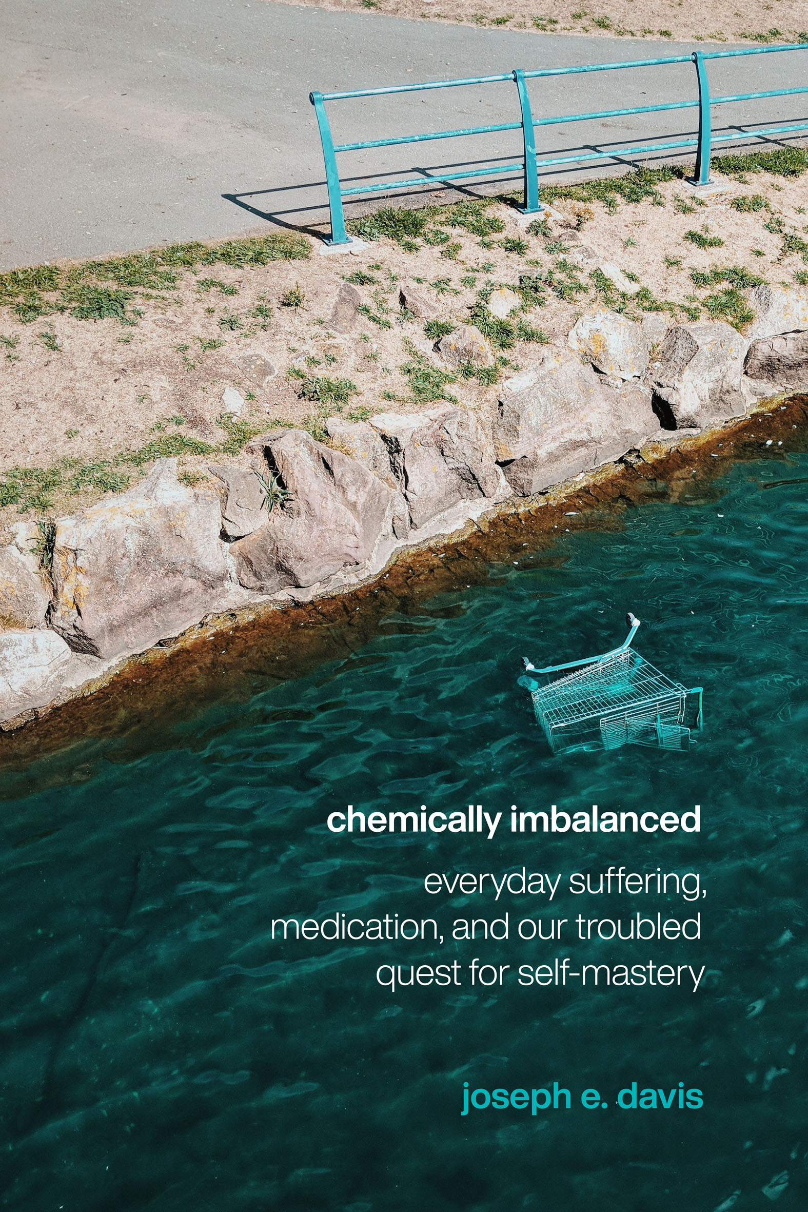 This image is the cover for the book Chemically Imbalanced