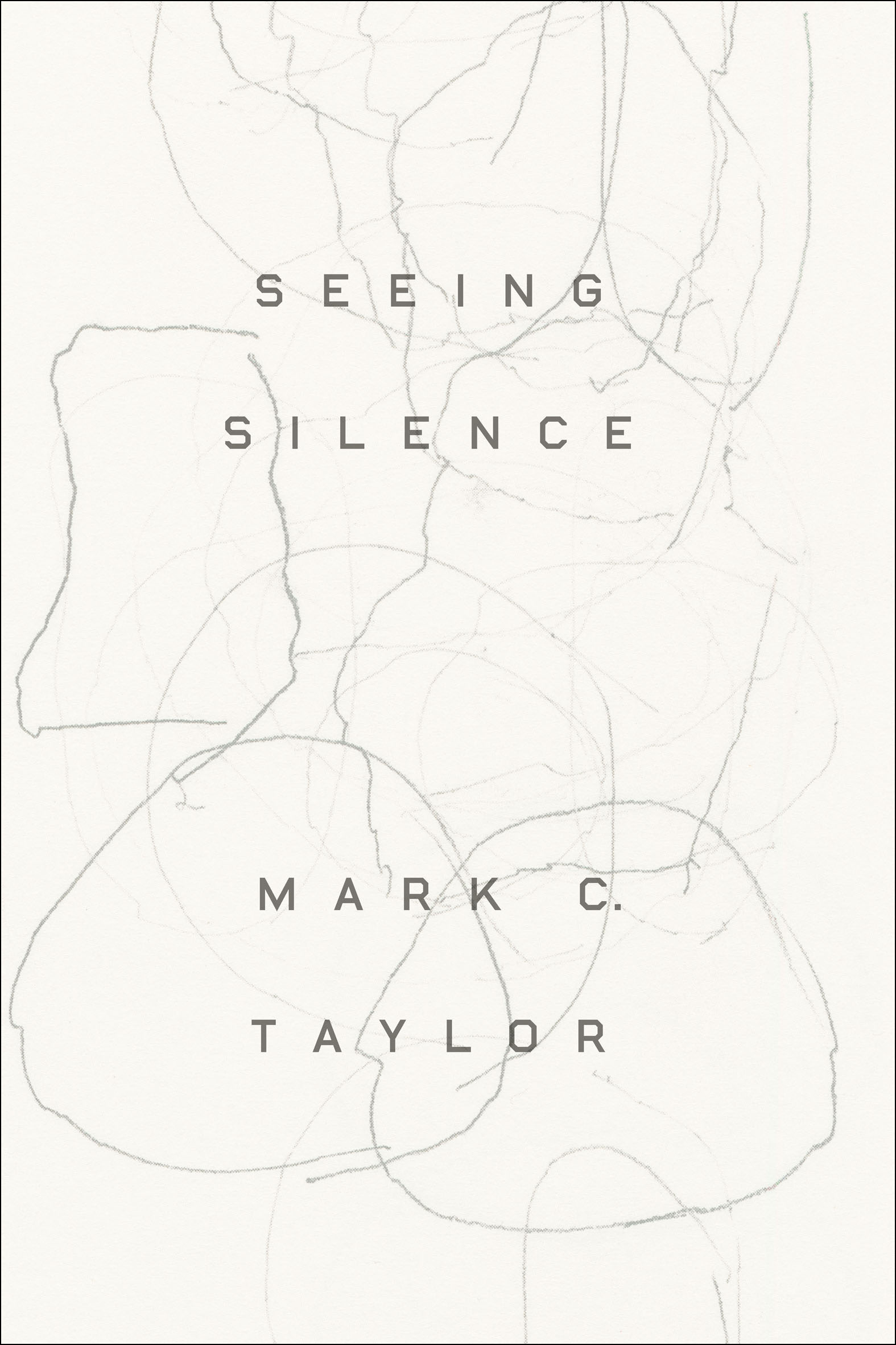 This image is the cover for the book Seeing Silence
