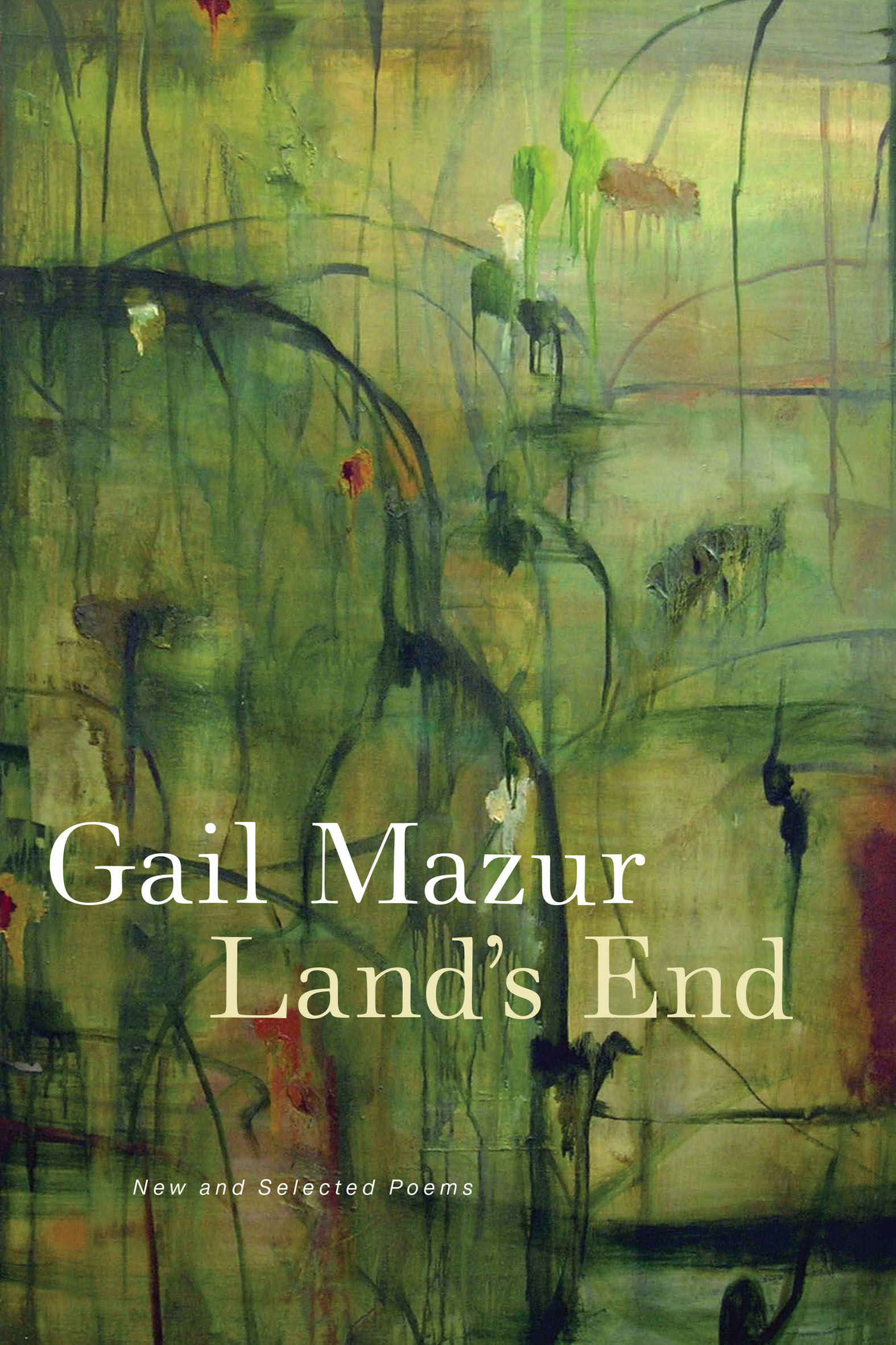 This image is the cover for the book Land's End