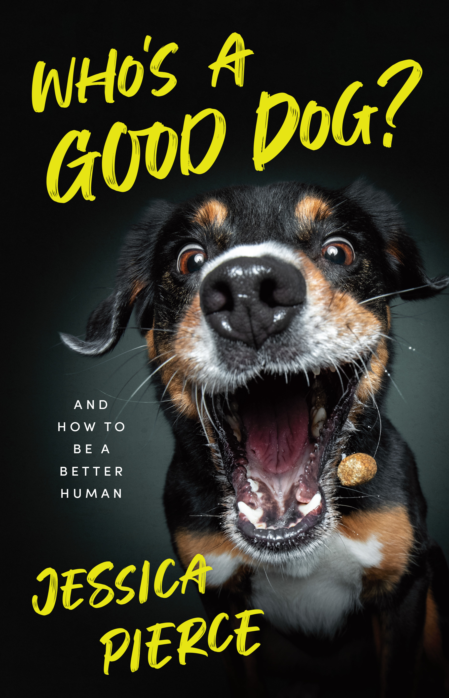 This image is the cover for the book Who's a Good Dog?