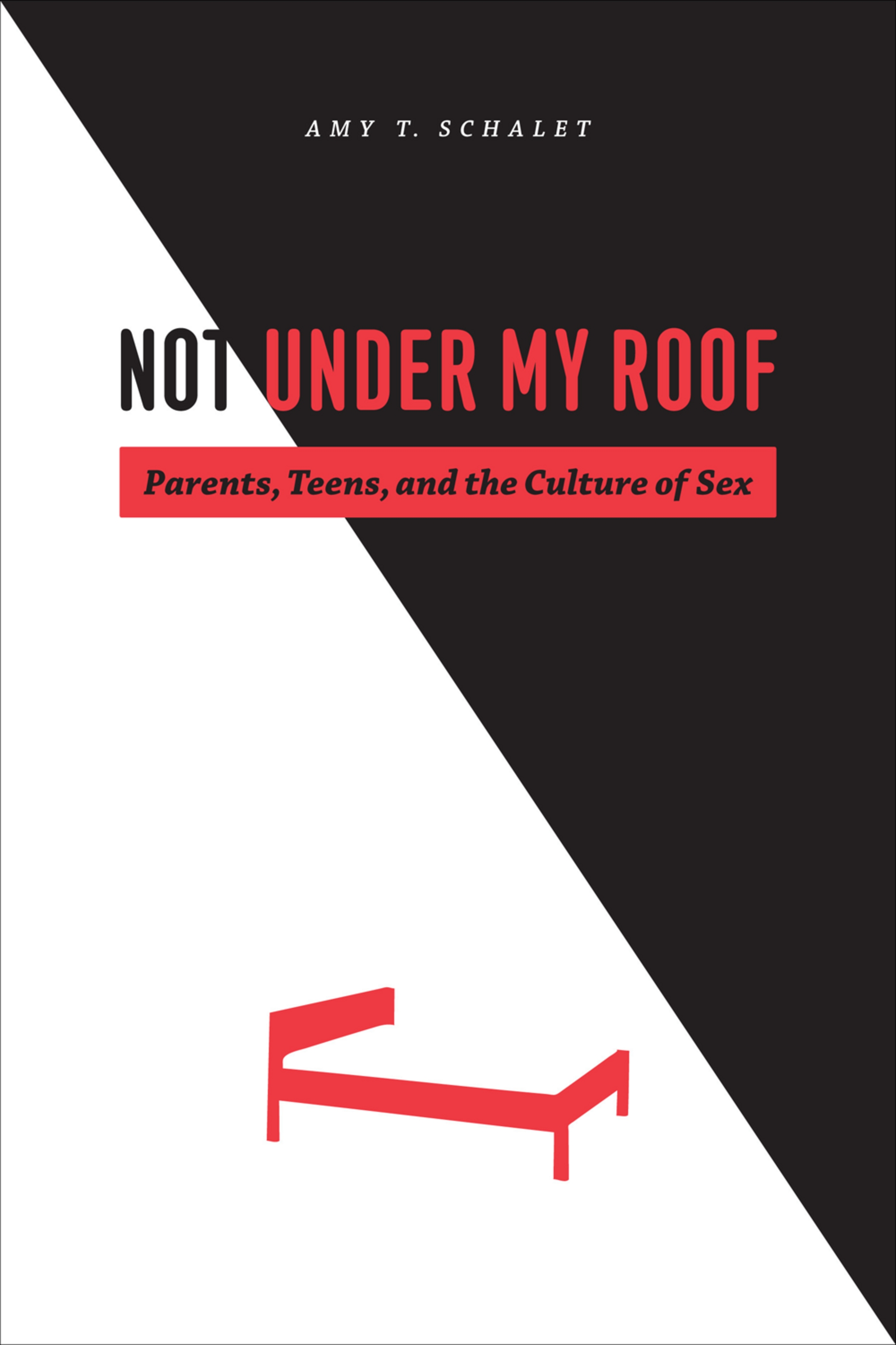 This image is the cover for the book Not Under My Roof