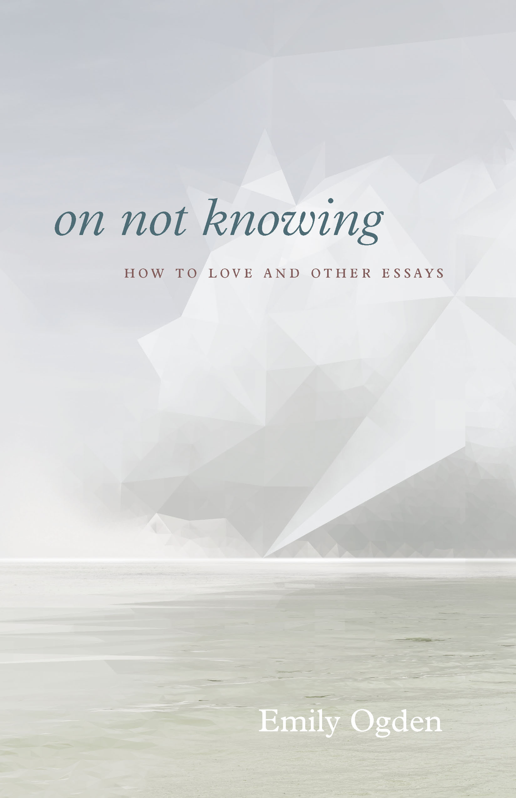 This image is the cover for the book On Not Knowing