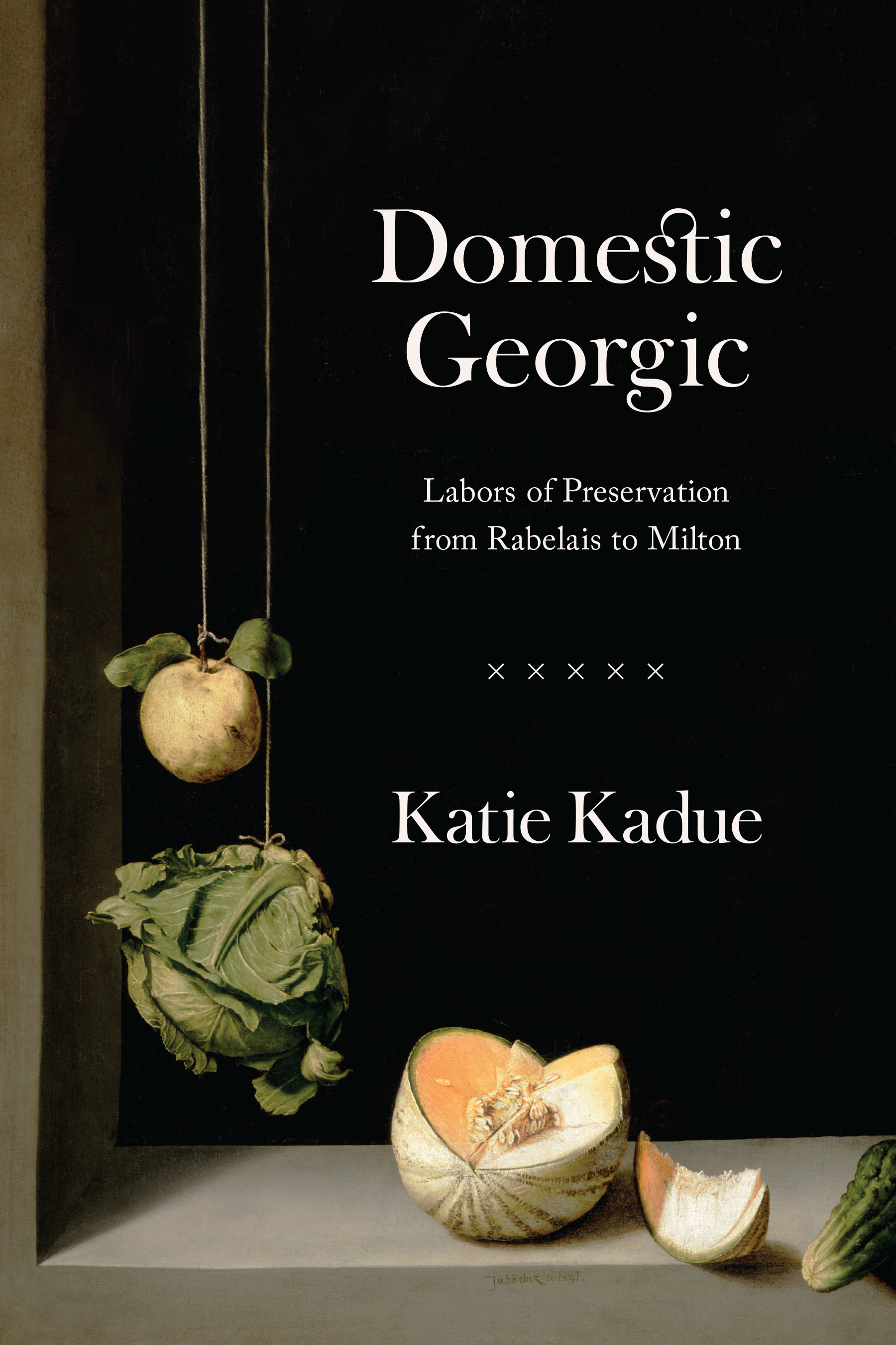 This image is the cover for the book Domestic Georgic
