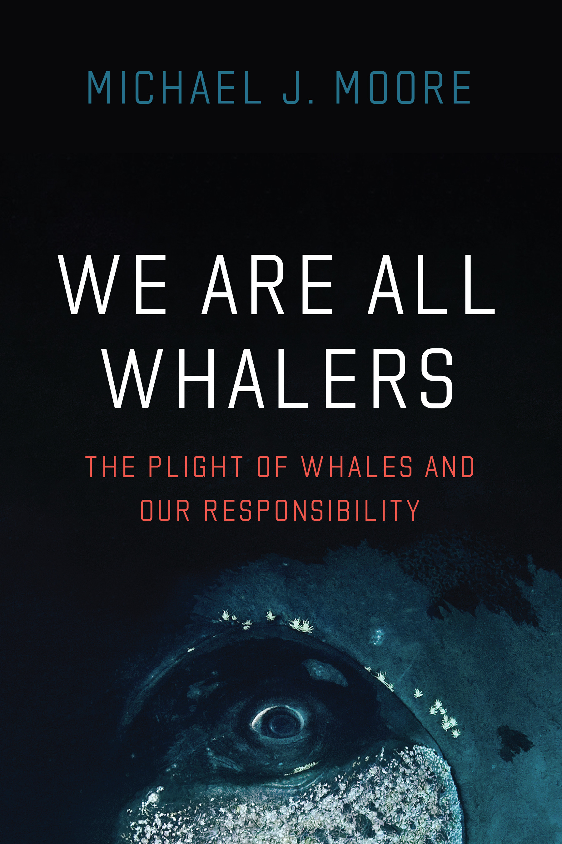 This image is the cover for the book We Are All Whalers