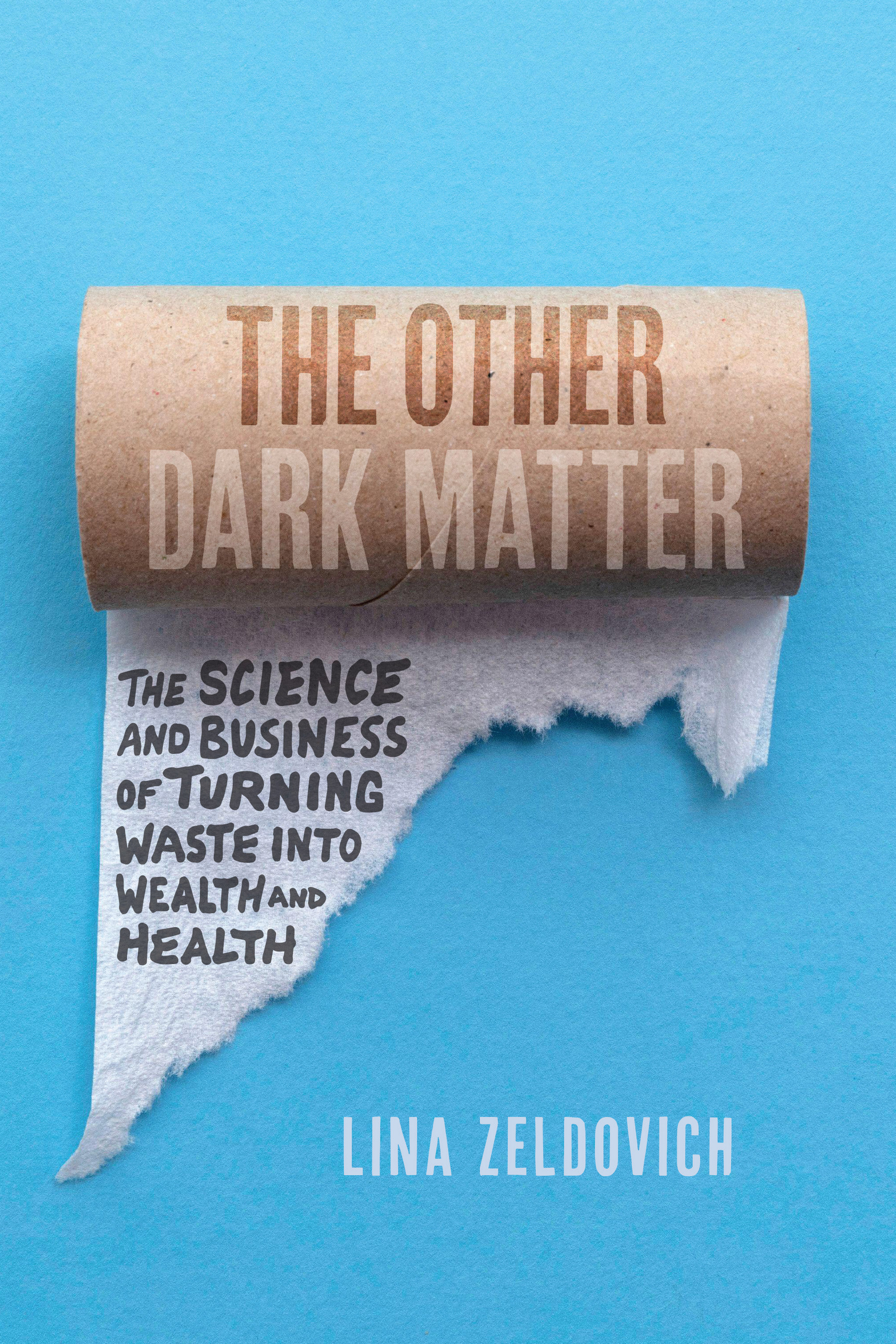 This image is the cover for the book Other Dark Matter