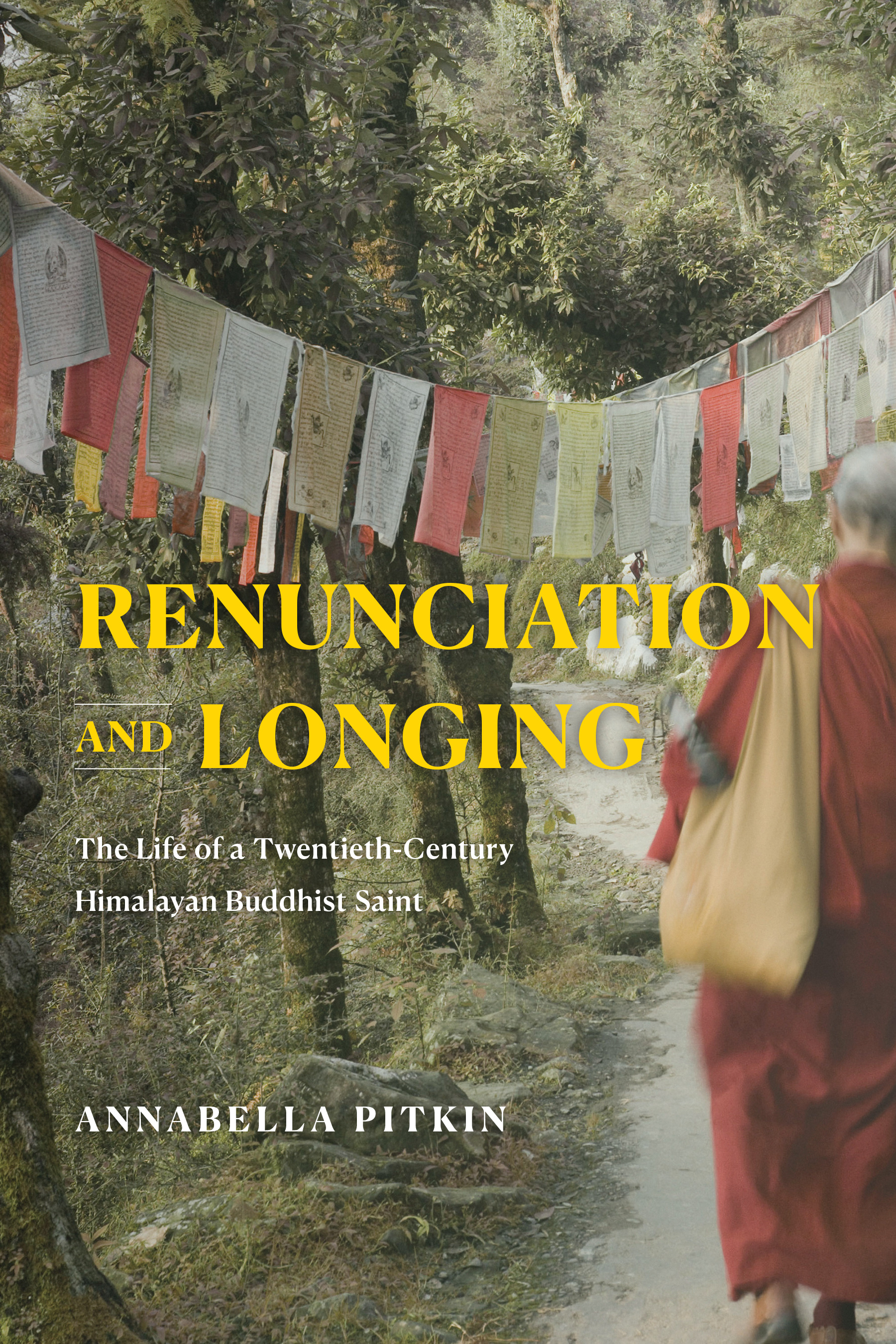 This image is the cover for the book Renunciation and Longing