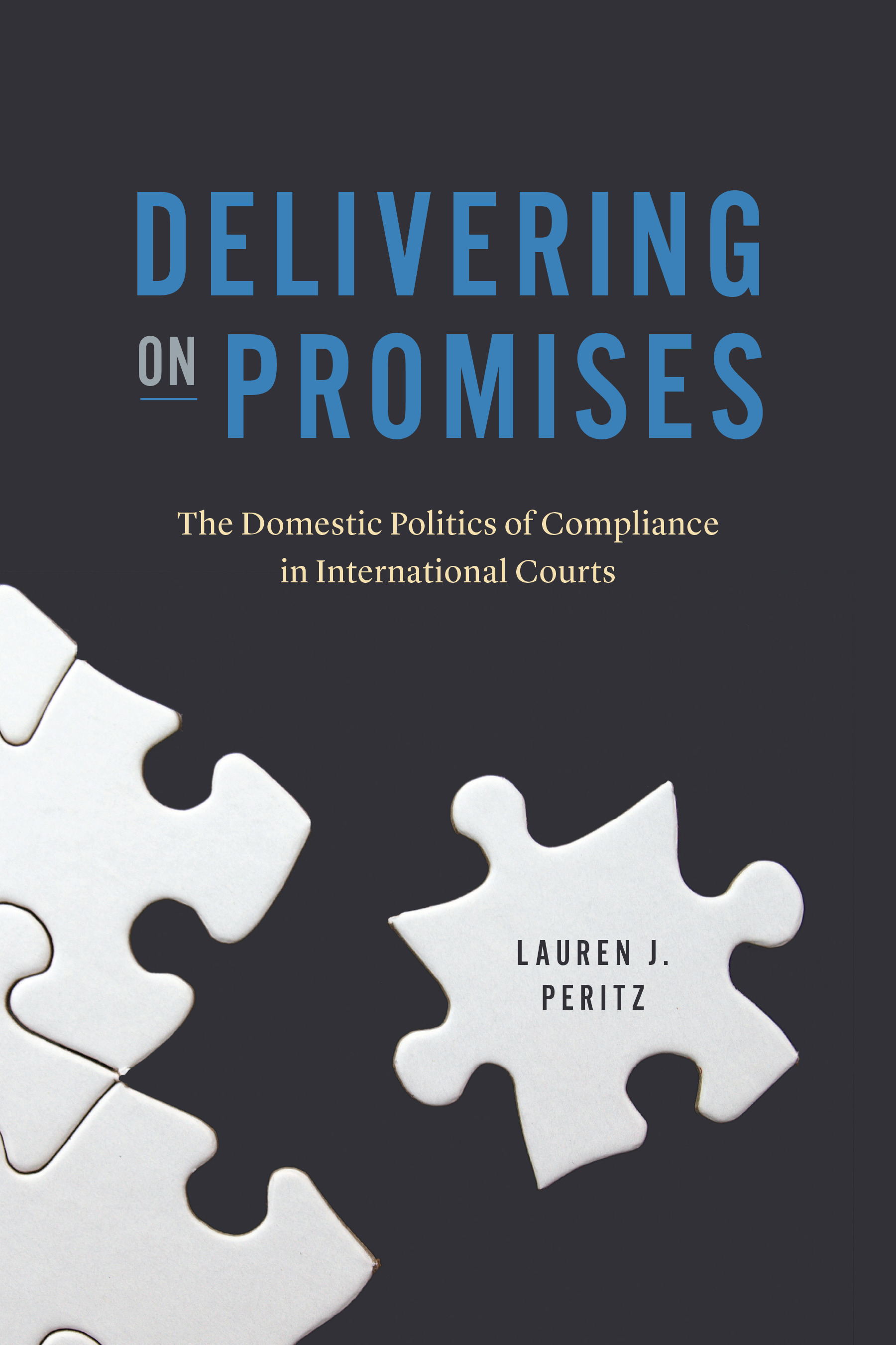 This image is the cover for the book Delivering on Promises