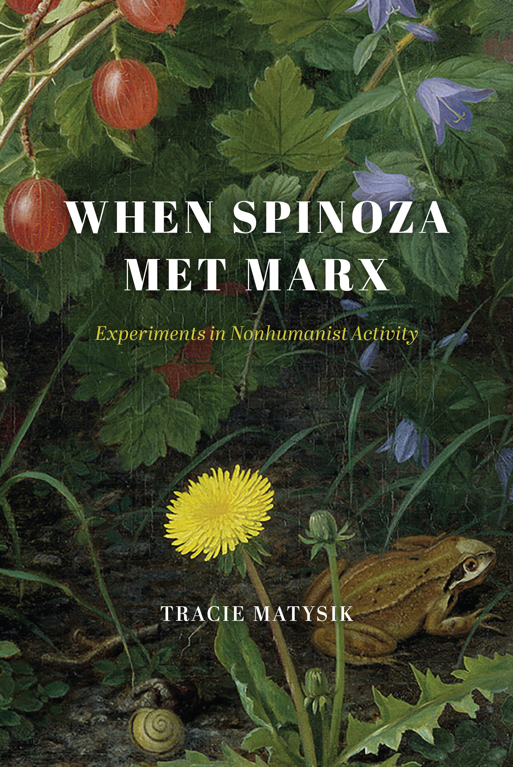 This image is the cover for the book When Spinoza Met Marx