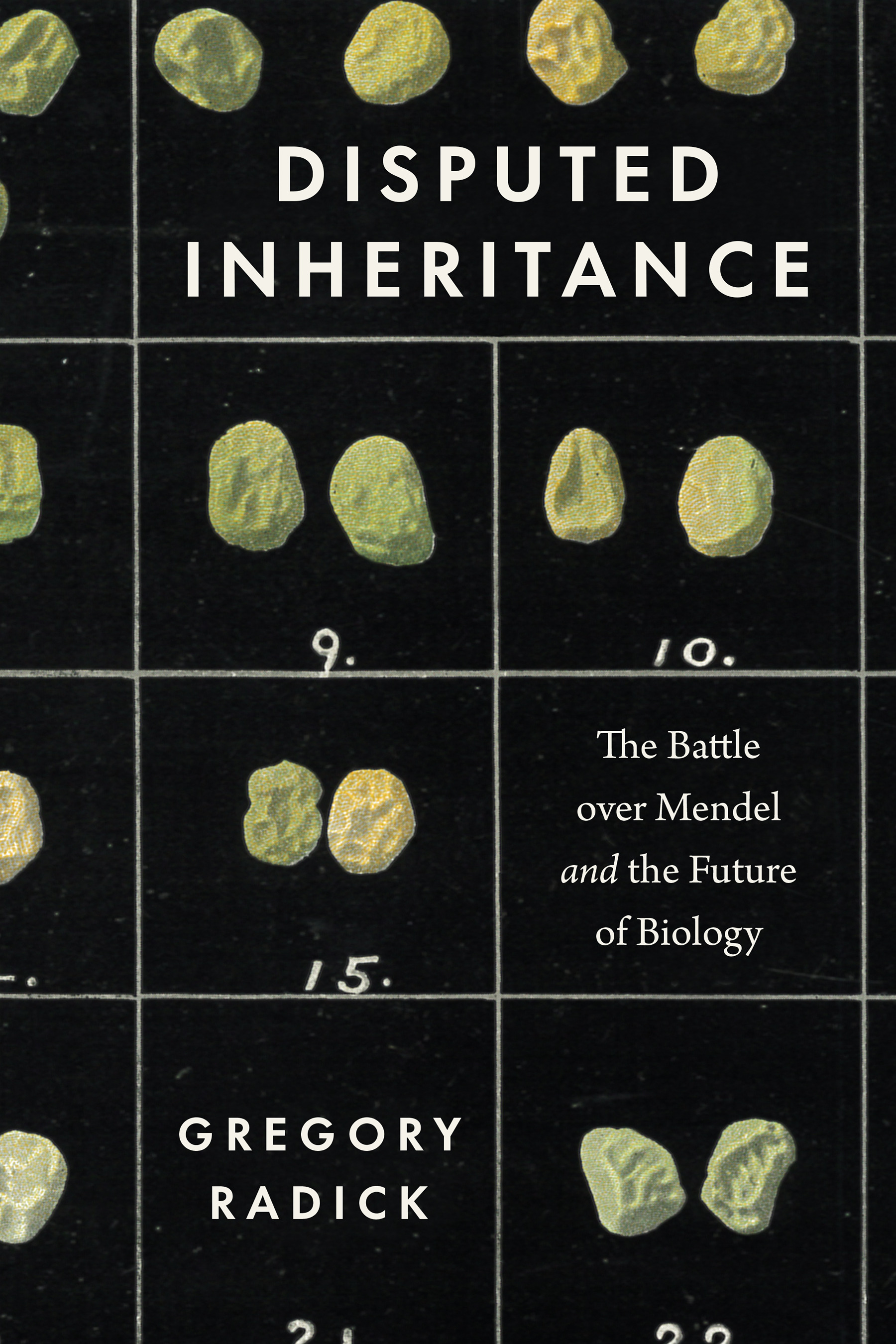 This image is the cover for the book Disputed Inheritance