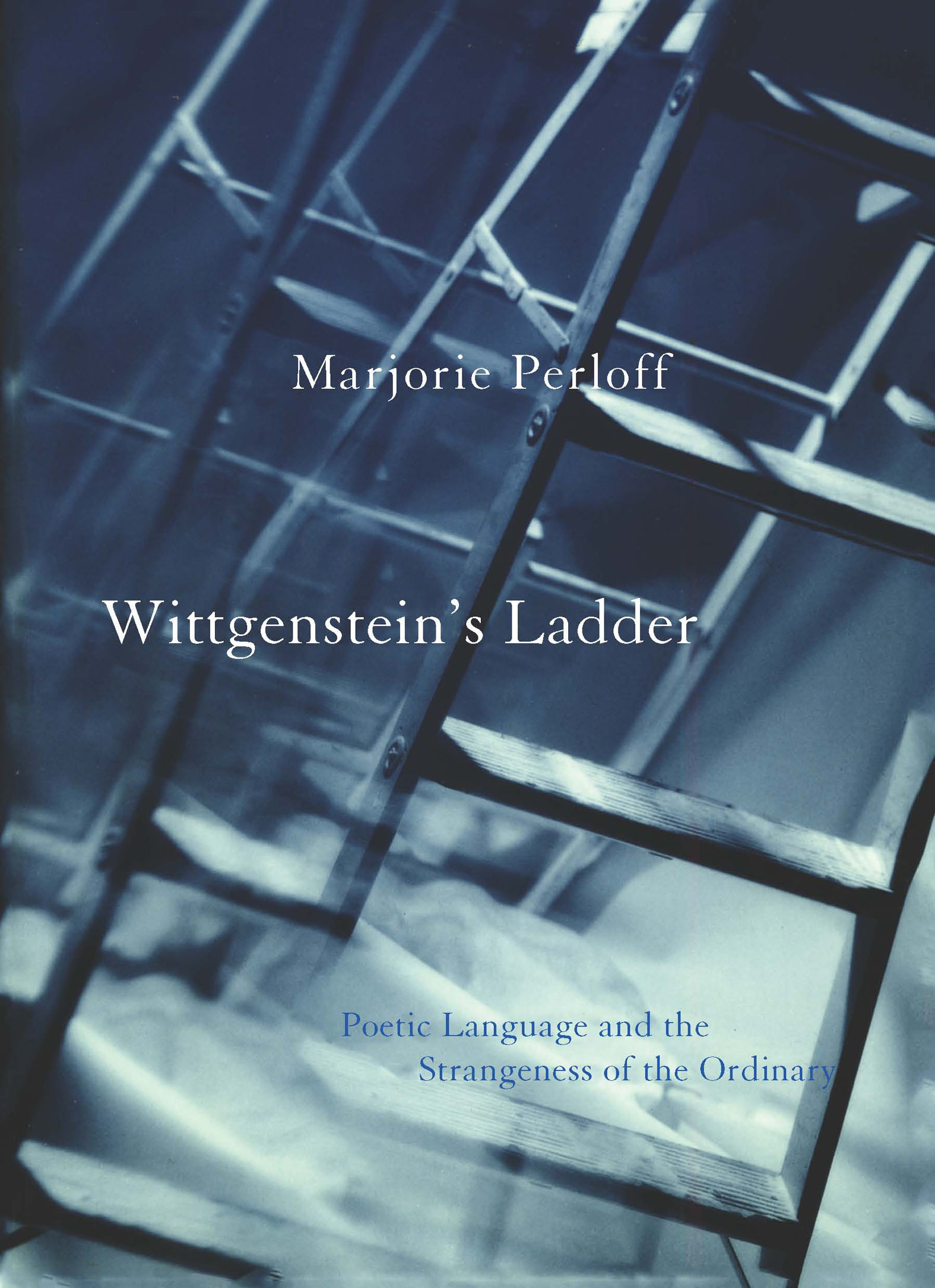 This image is the cover for the book Wittgenstein's Ladder