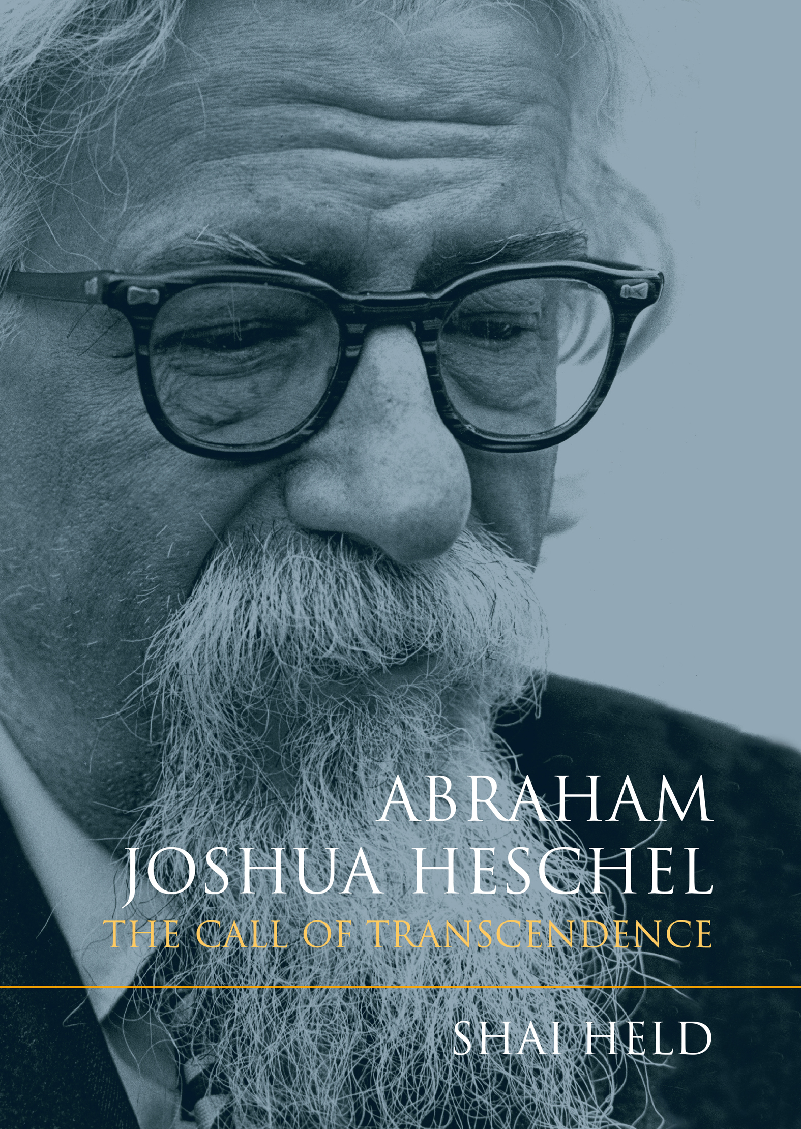 This image is the cover for the book Abraham Joshua Heschel