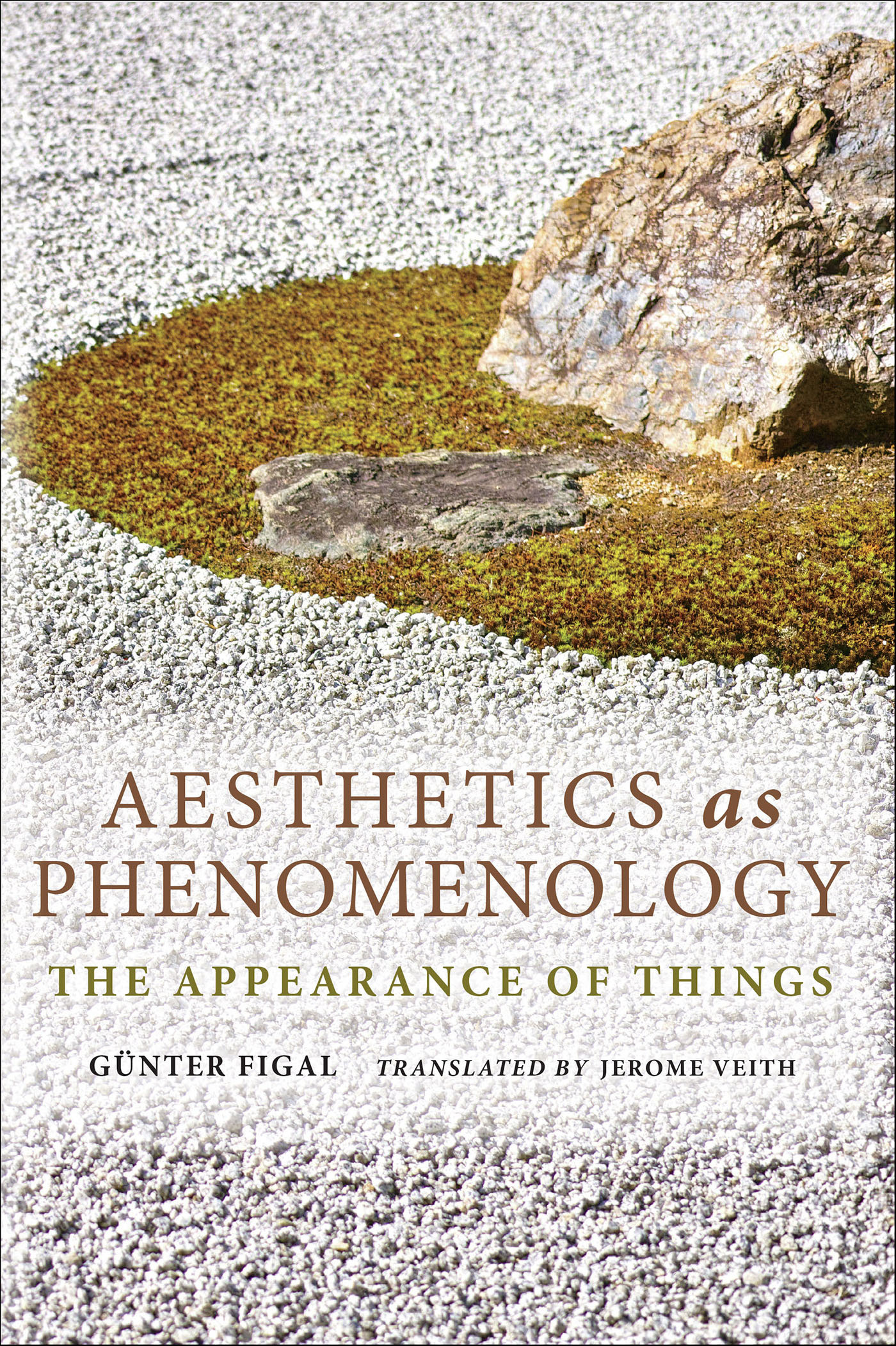 This image is the cover for the book Aesthetics as Phenomenology, Studies in Continental Thought