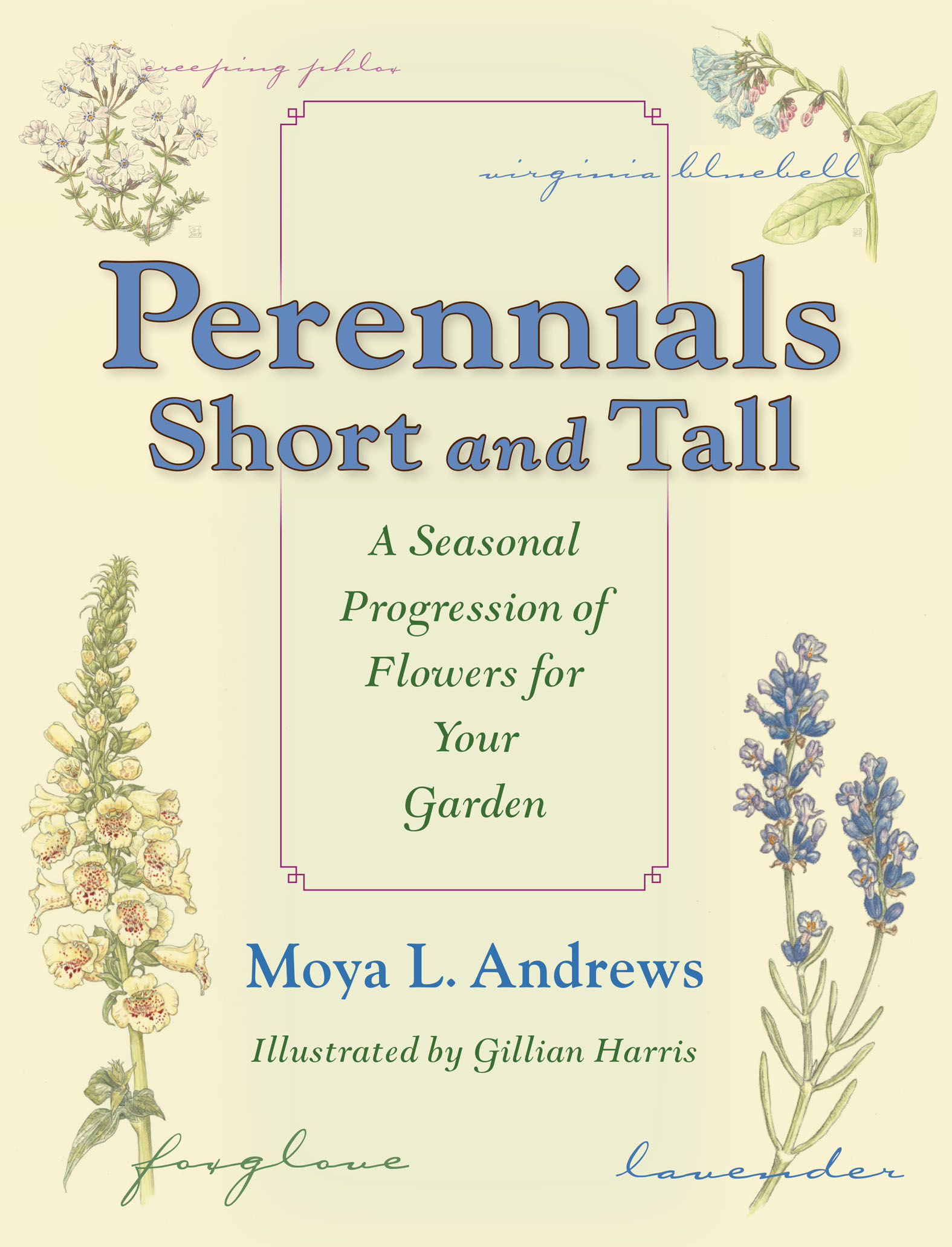 This image is the cover for the book Perennials Short and Tall