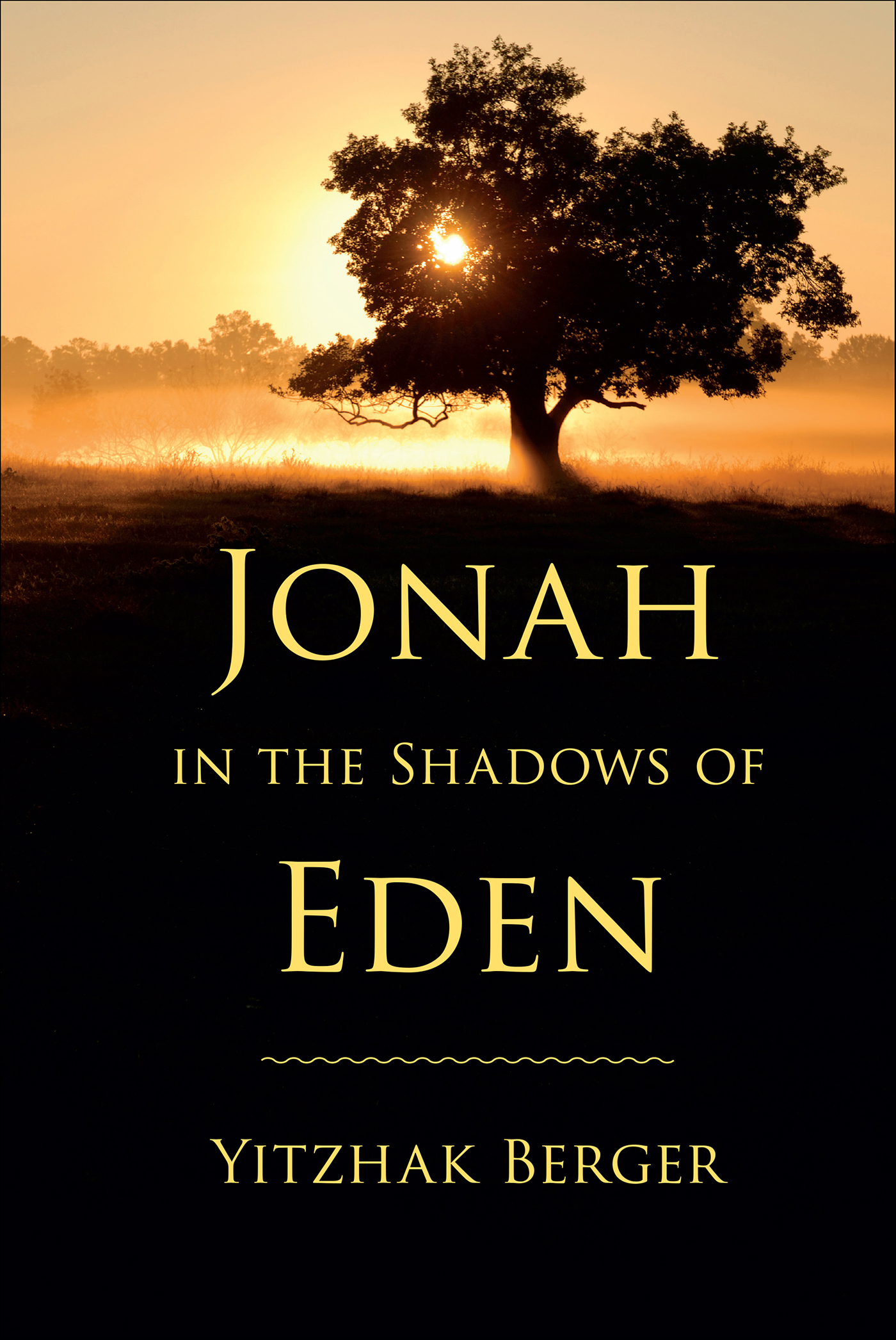 This image is the cover for the book Jonah in the Shadows of Eden, Biblical Literature