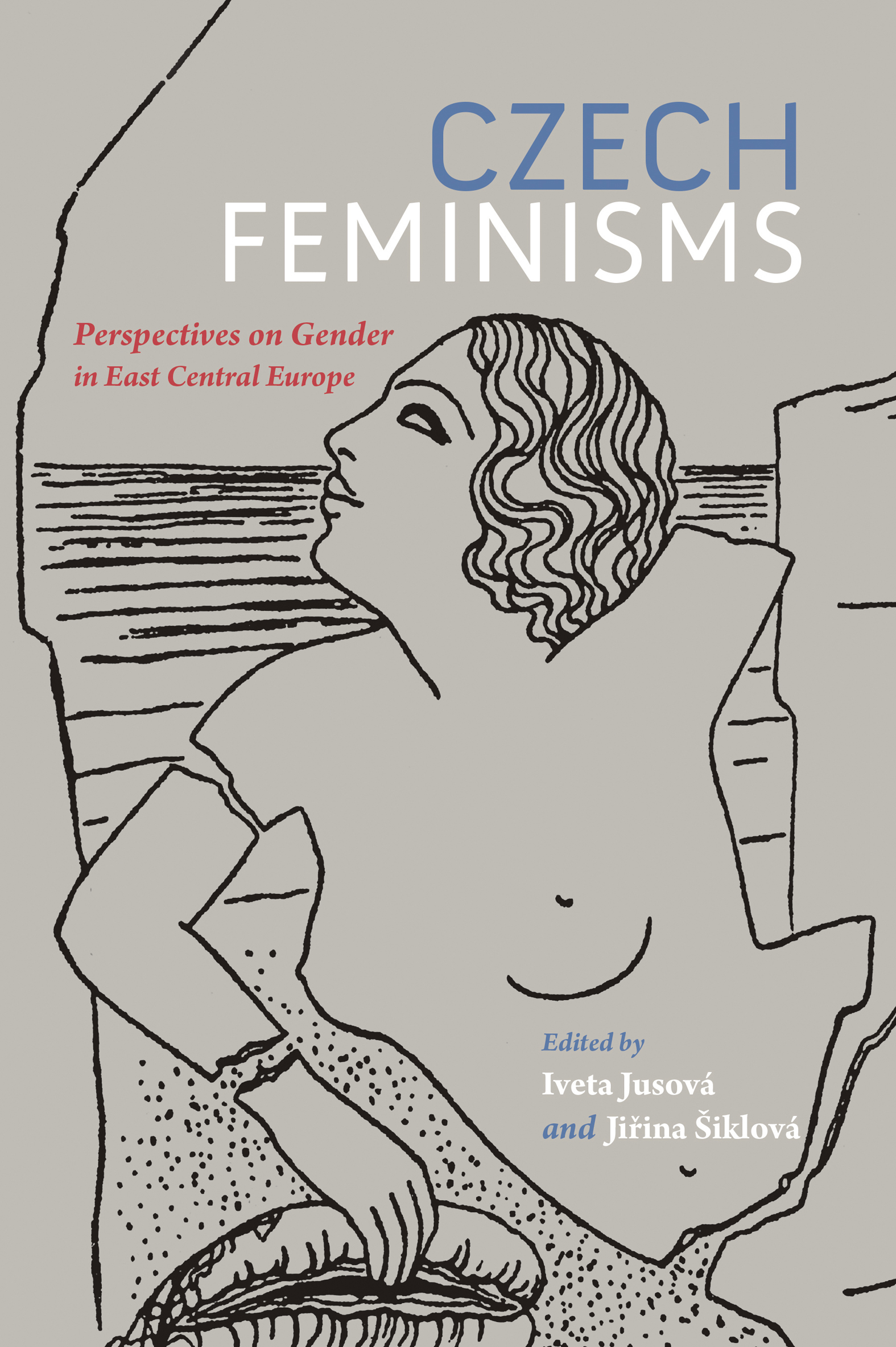 This image is the cover for the book Czech Feminisms