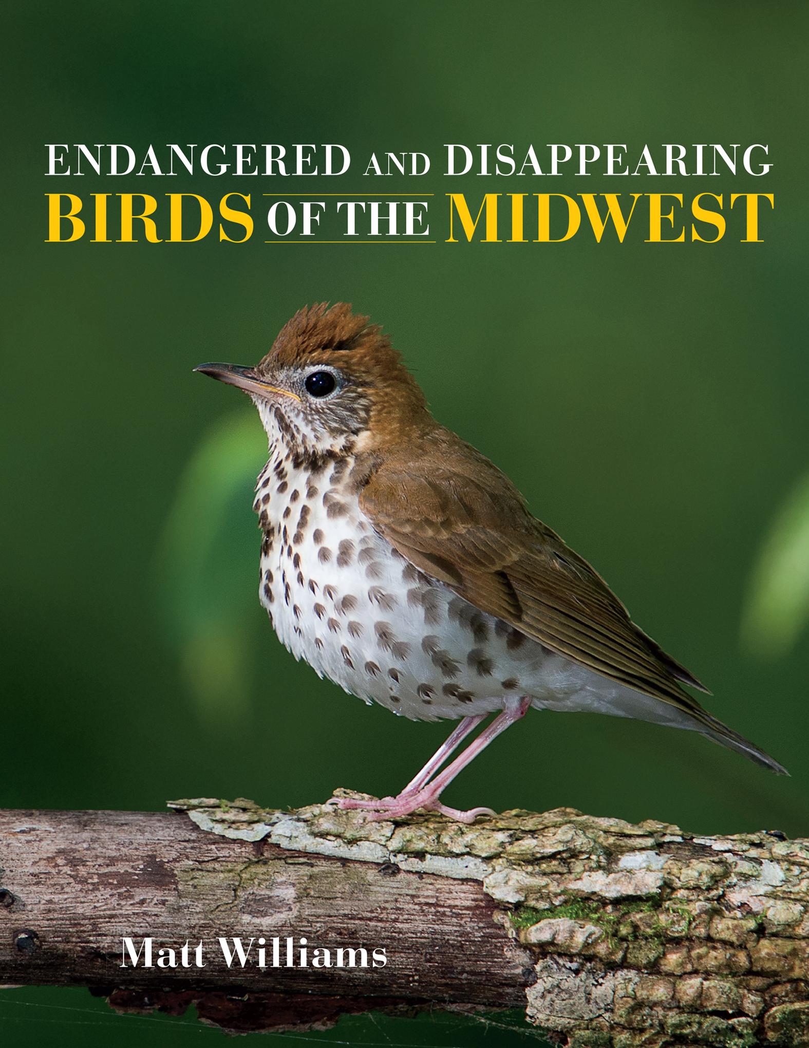 This image is the cover for the book Endangered and Disappearing Birds of the Midwest