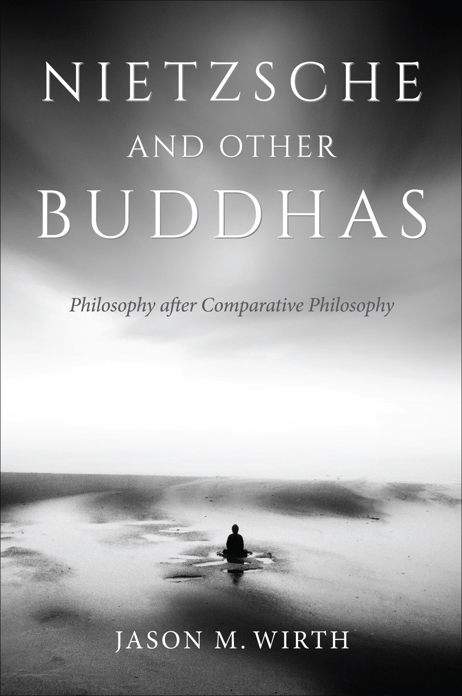 This image is the cover for the book Nietzsche and Other Buddhas