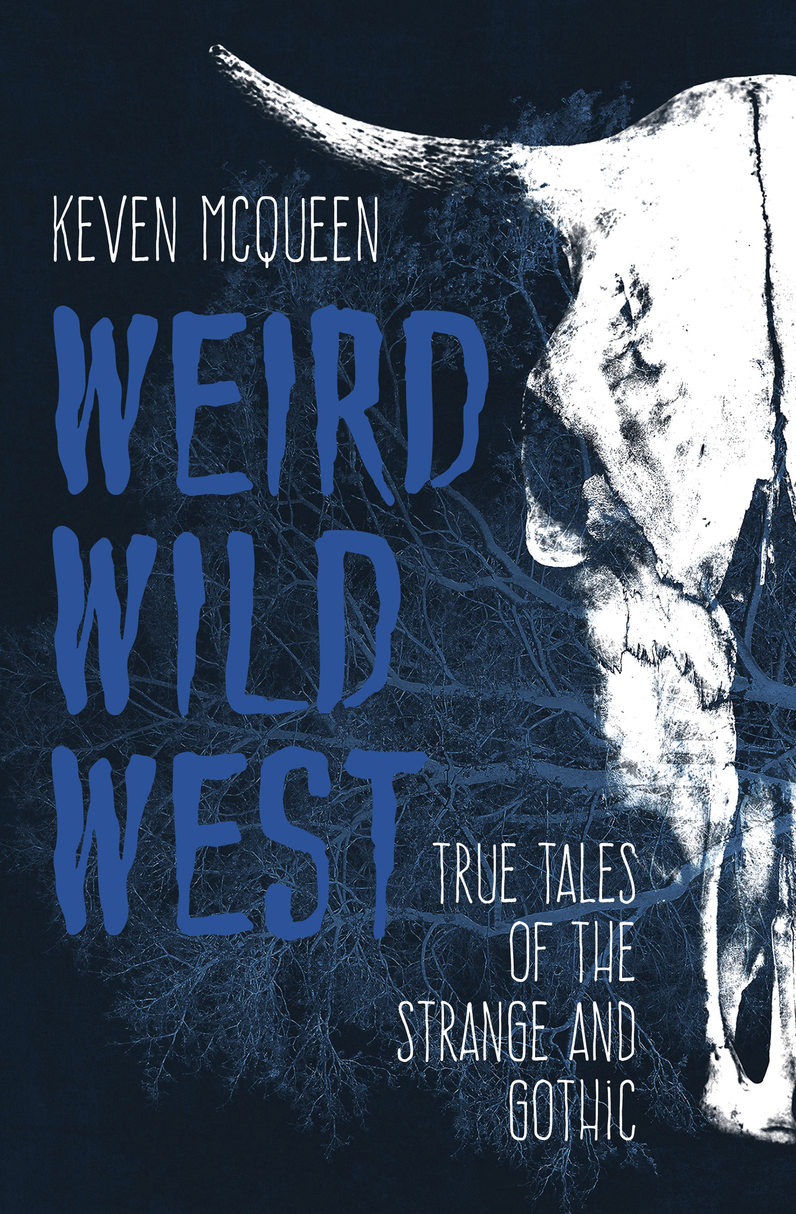 This image is the cover for the book Weird Wild West