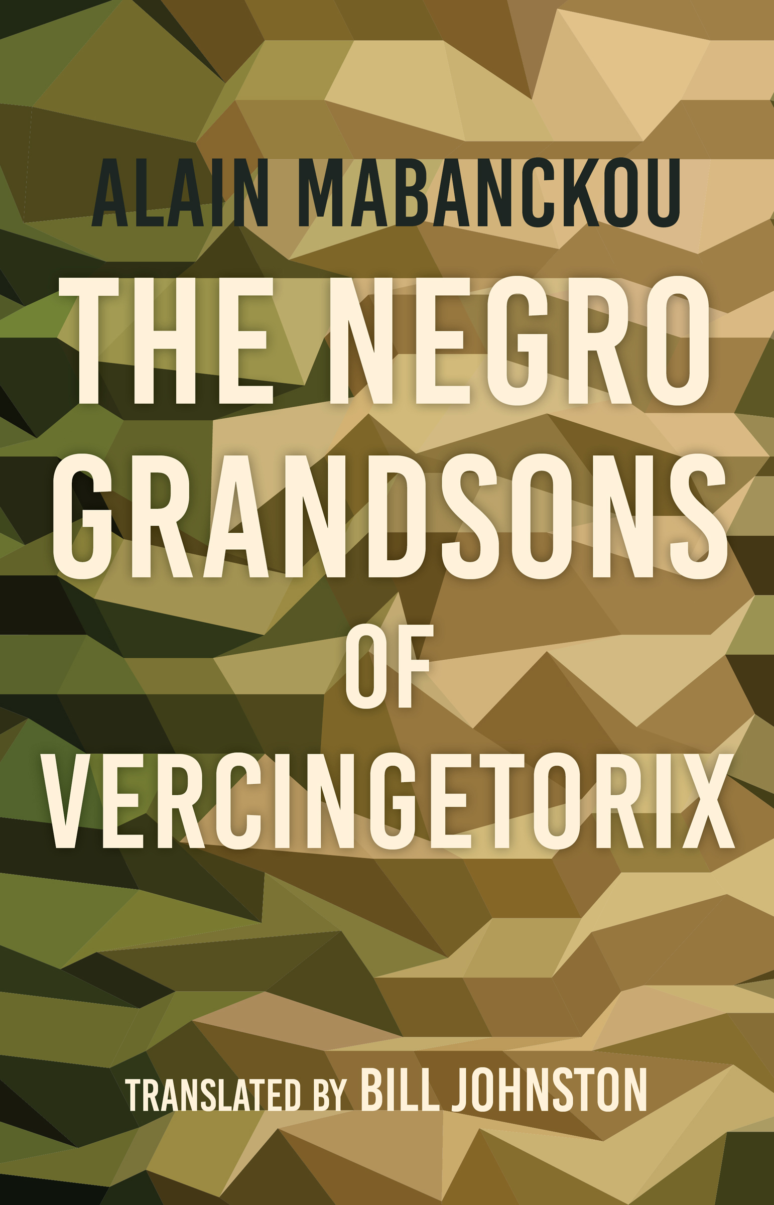 This image is the cover for the book Negro Grandsons of Vercingetorix