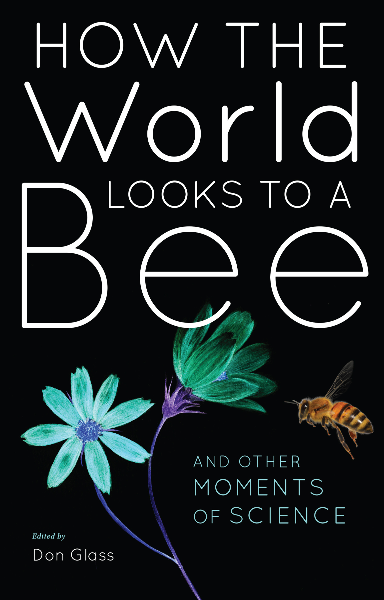 This image is the cover for the book How the World Looks to a Bee
