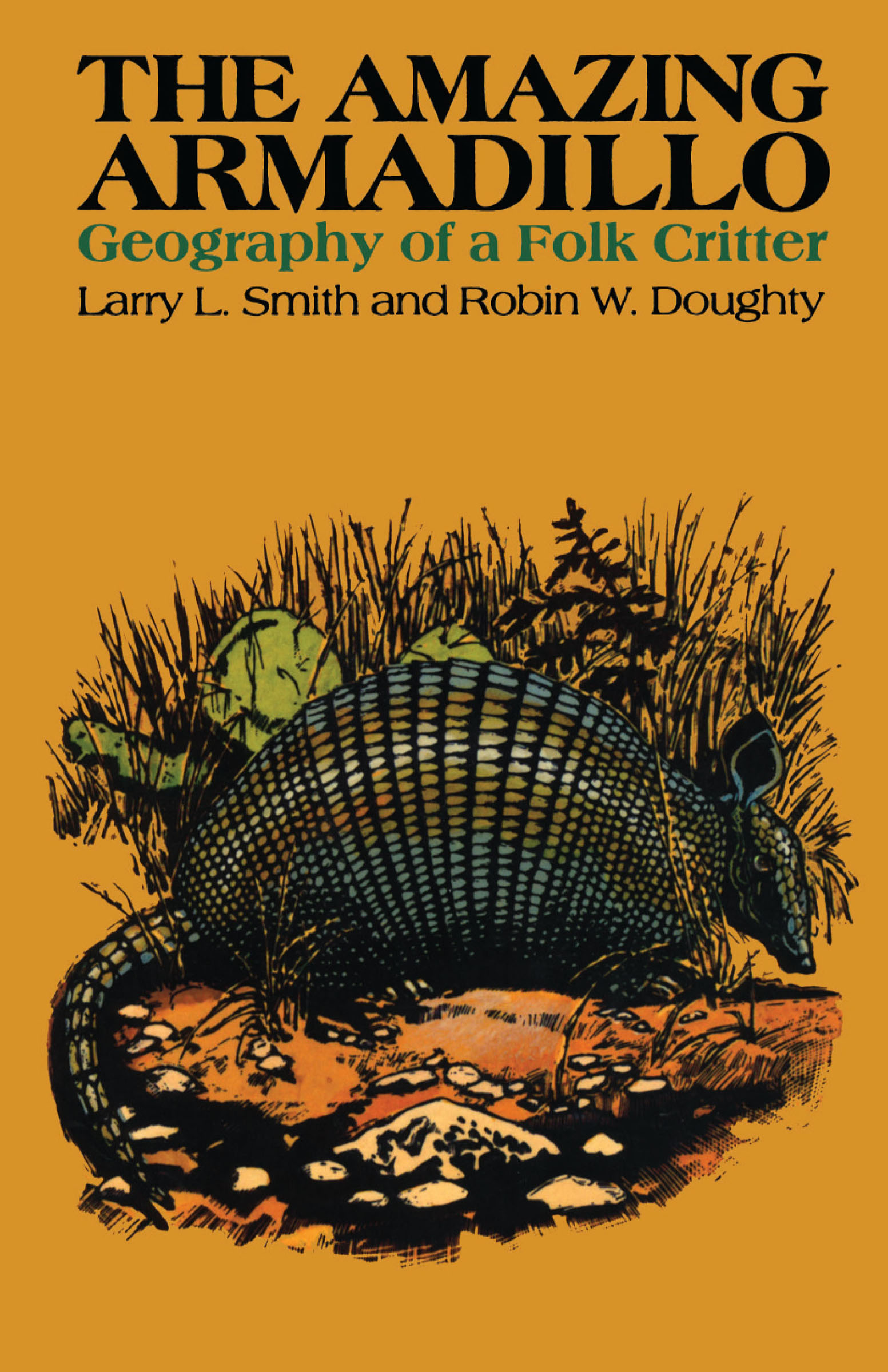 This image is the cover for the book Amazing Armadillo
