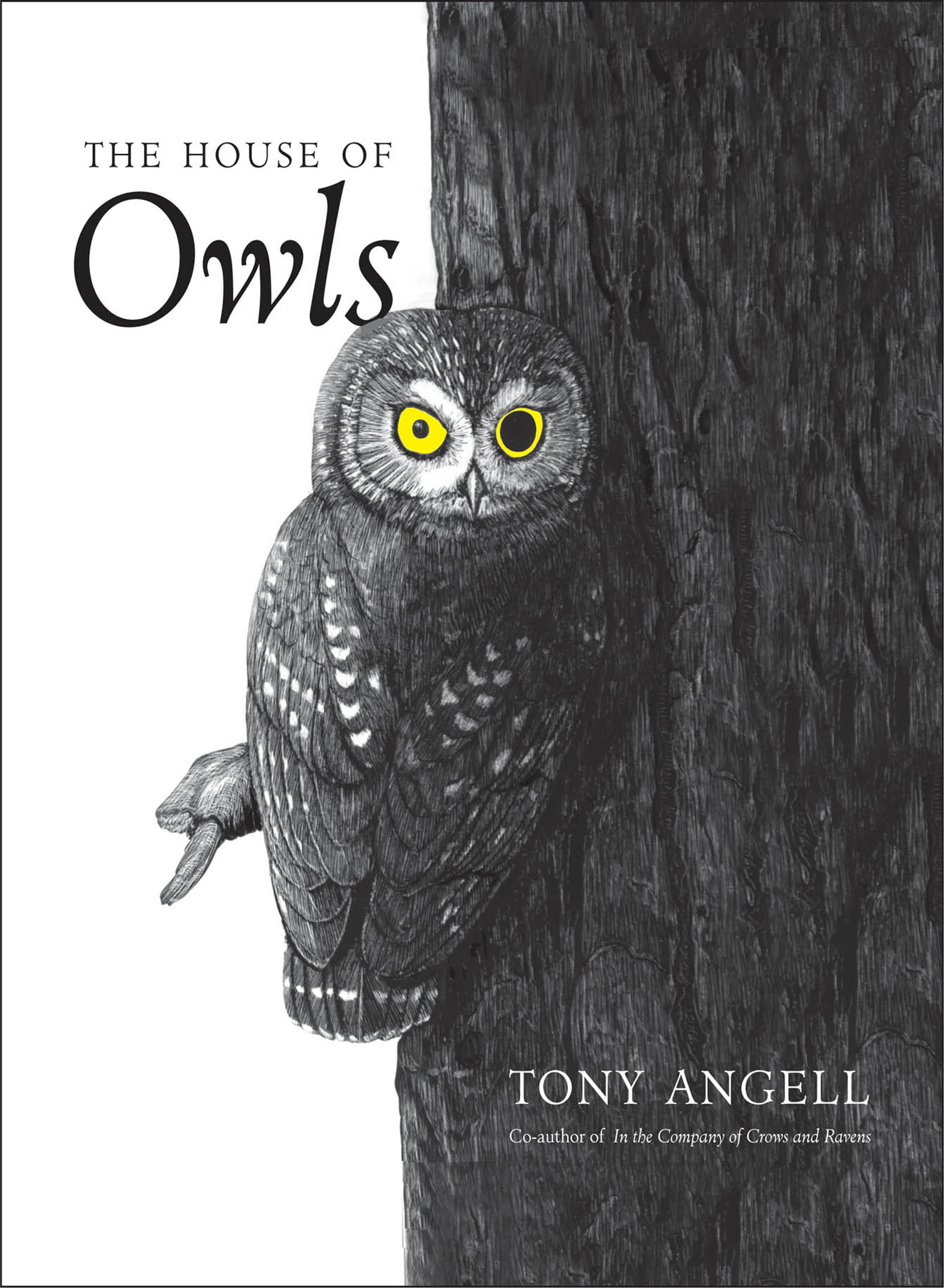 This image is the cover for the book House of Owls