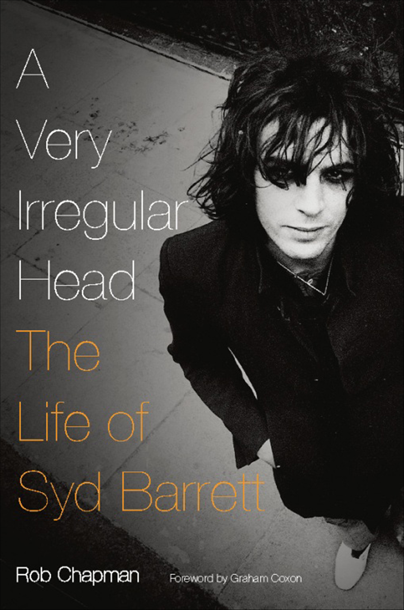This image is the cover for the book Very Irregular Head
