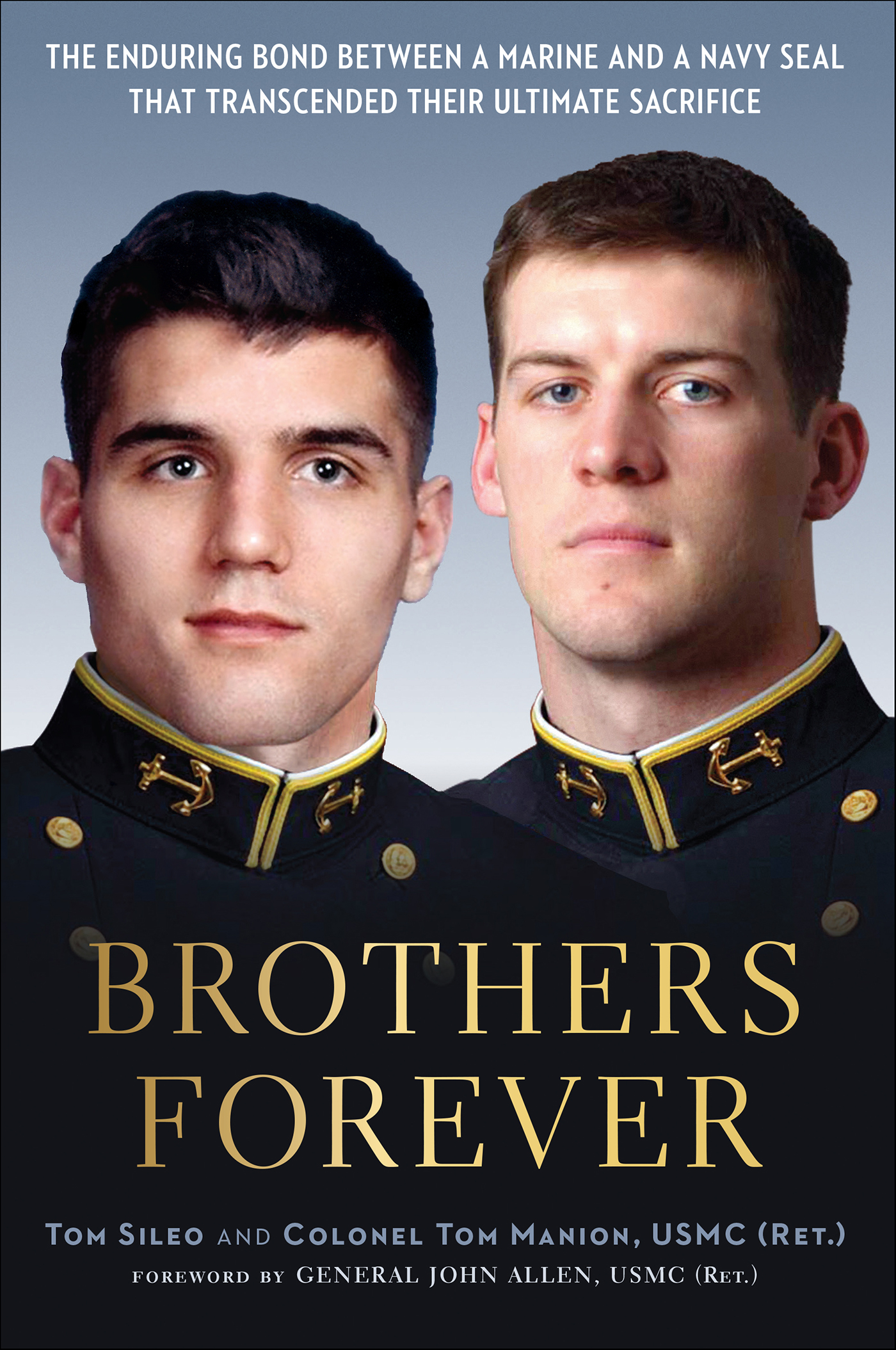 This image is the cover for the book Brothers Forever