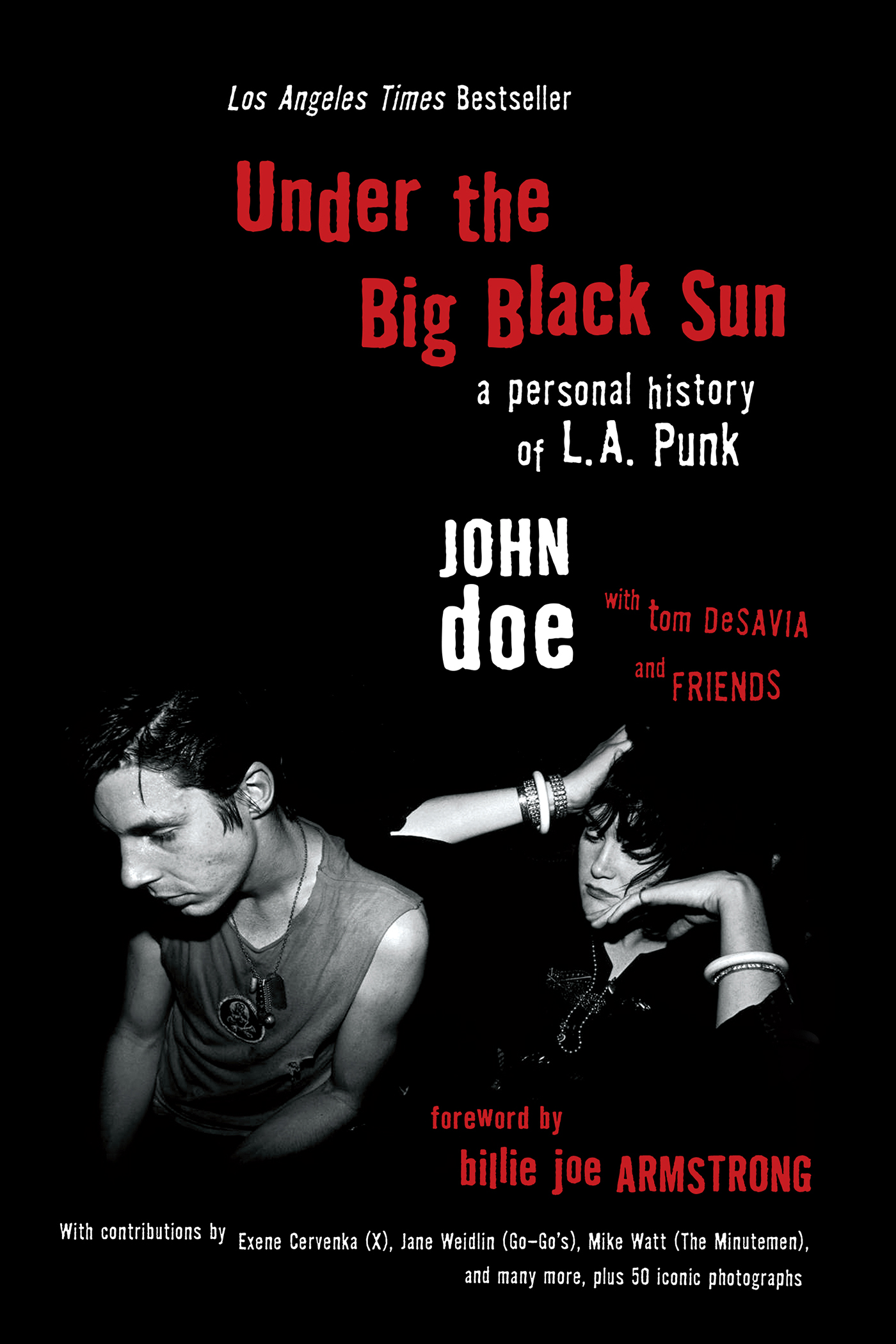 This image is the cover for the book Under the Big Black Sun