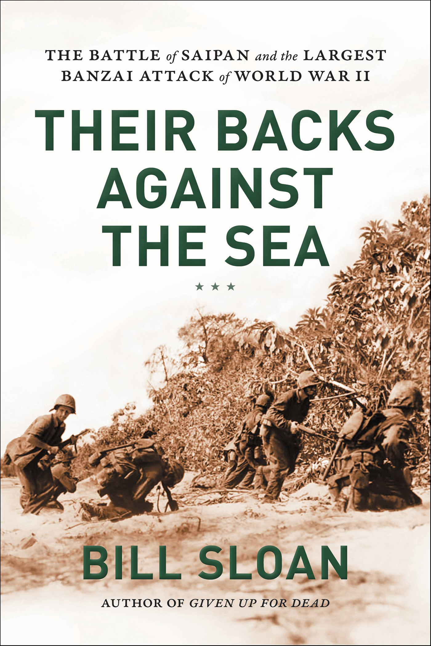 This image is the cover for the book Their Backs Against the Sea