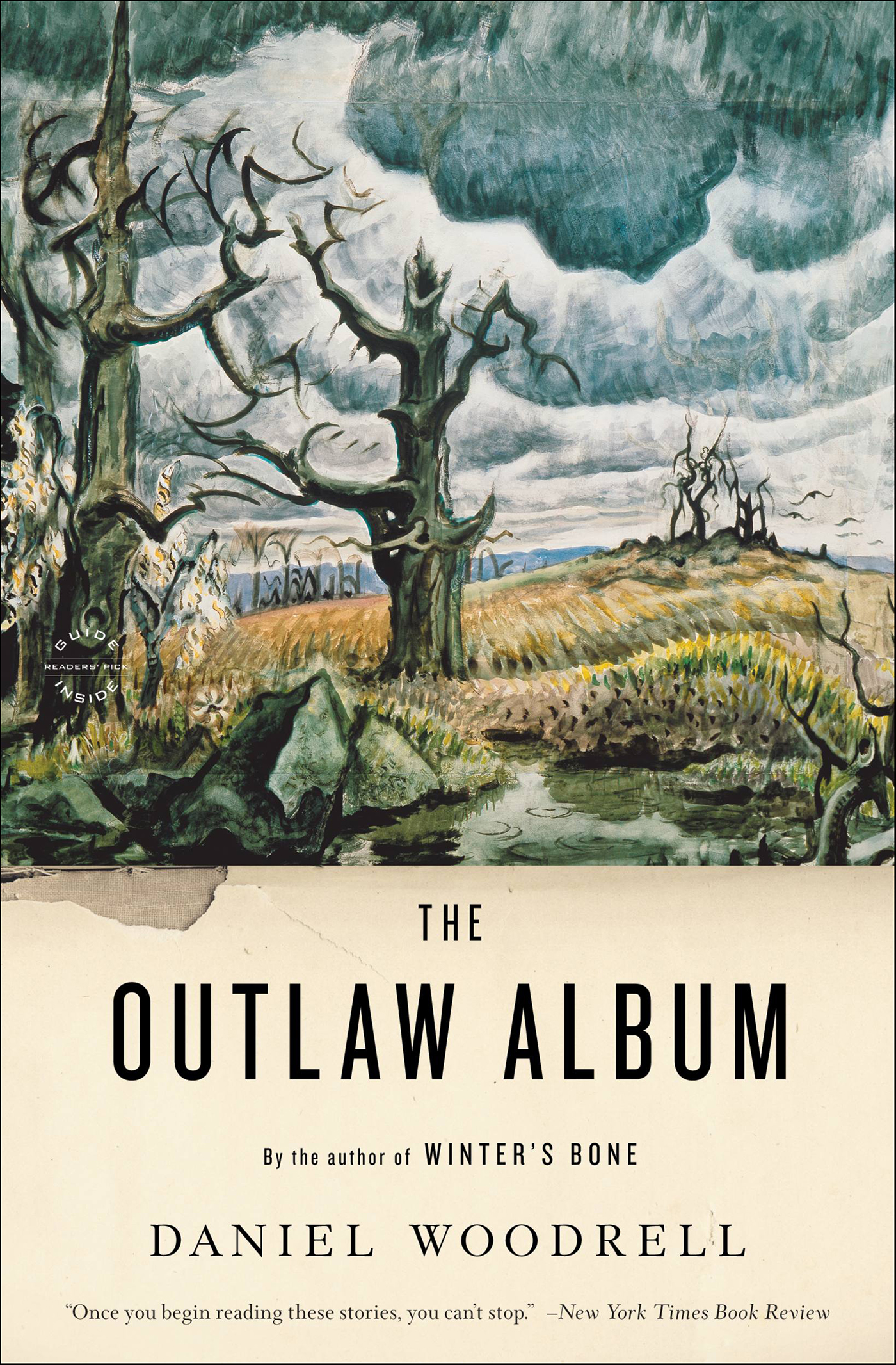 This image is the cover for the book Outlaw Album